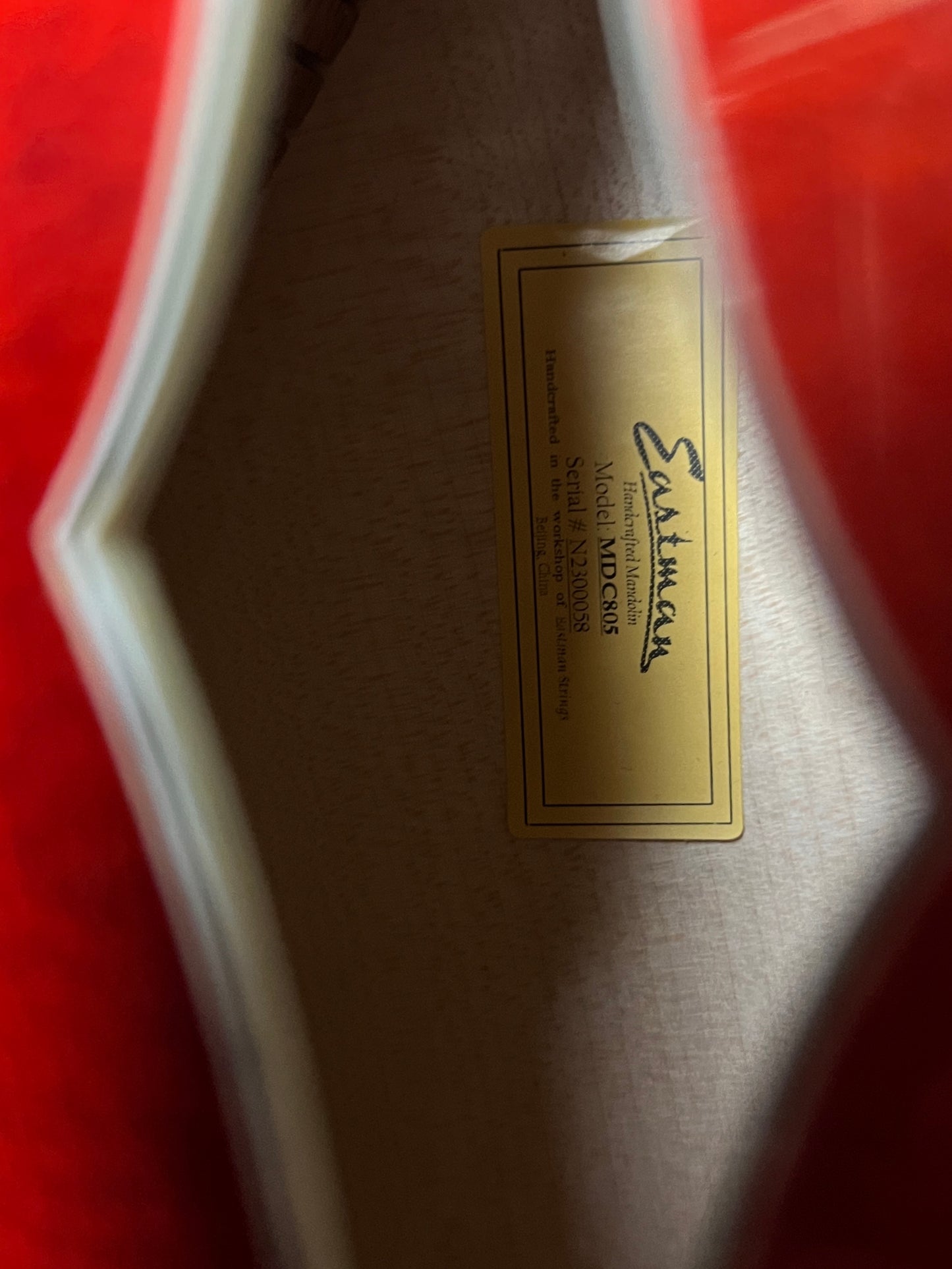 Eastman MDC805 Mandocello - Used