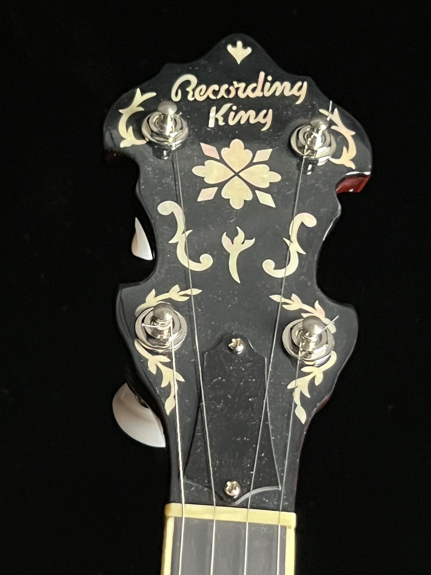 Recording King RK-Elite-85 Resonator 5-String Banjo - Used