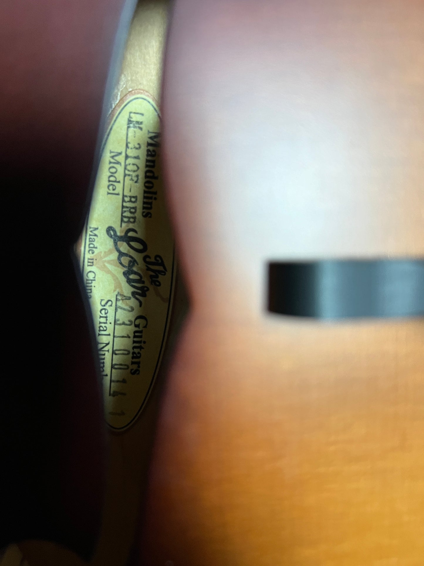 SOLD - The Loar Honey Creek F-Style Mandolin LM-310F-BRB - New
