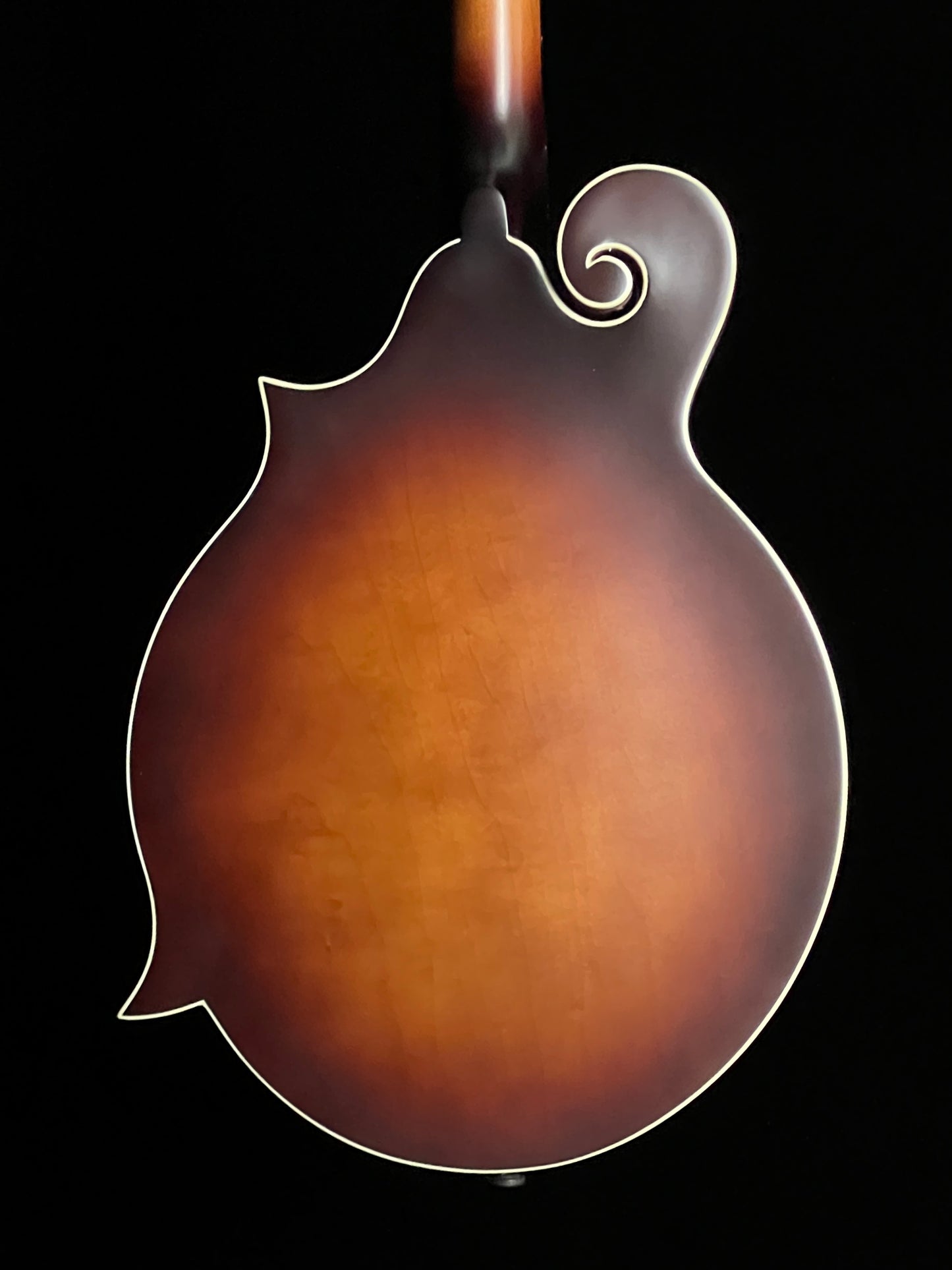 SOLD - The Loar Honey Creek F-Style Mandolin LM-310F-BRB - New