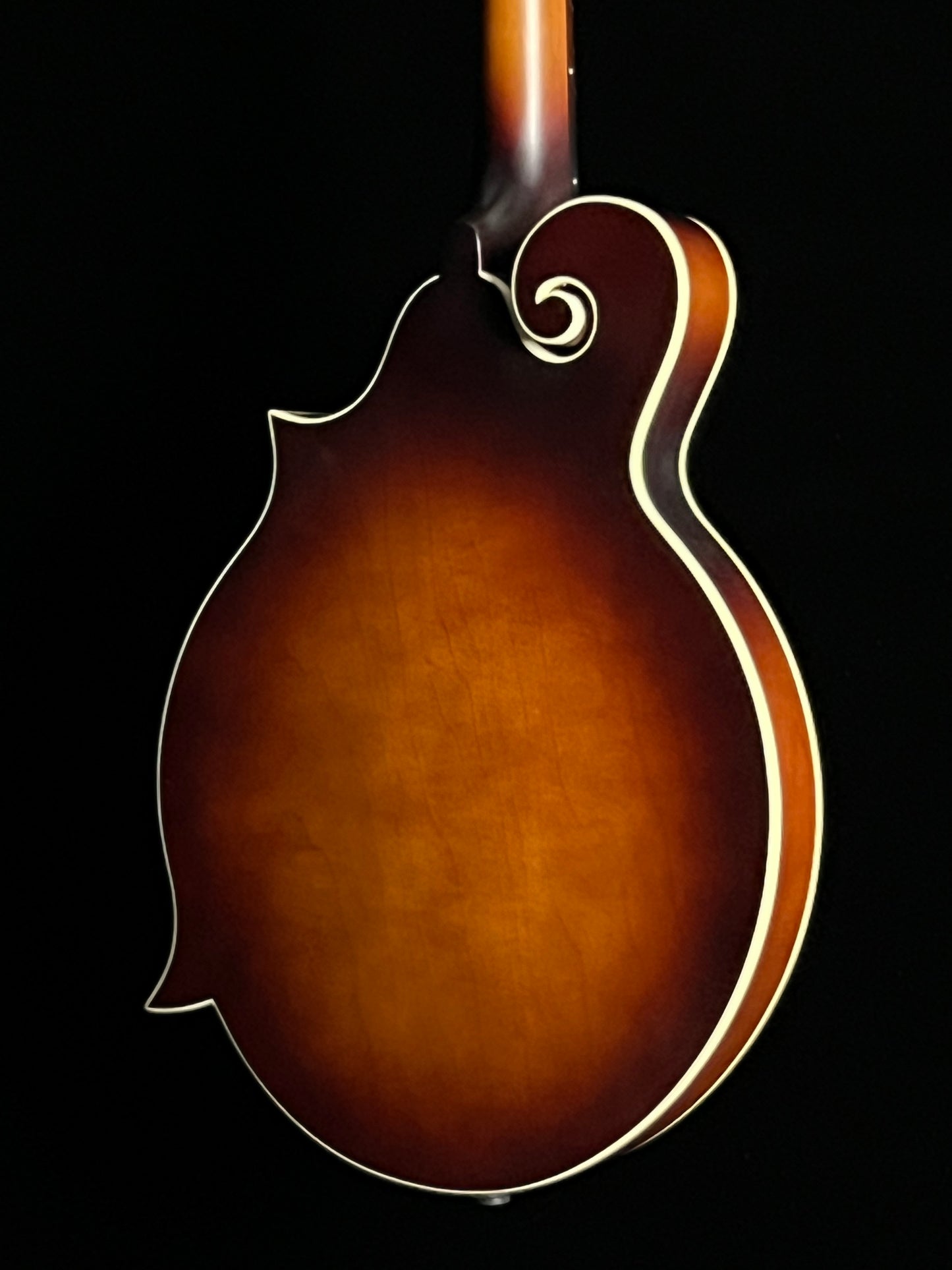 SOLD - The Loar Honey Creek F-Style Mandolin LM-310F-BRB - New