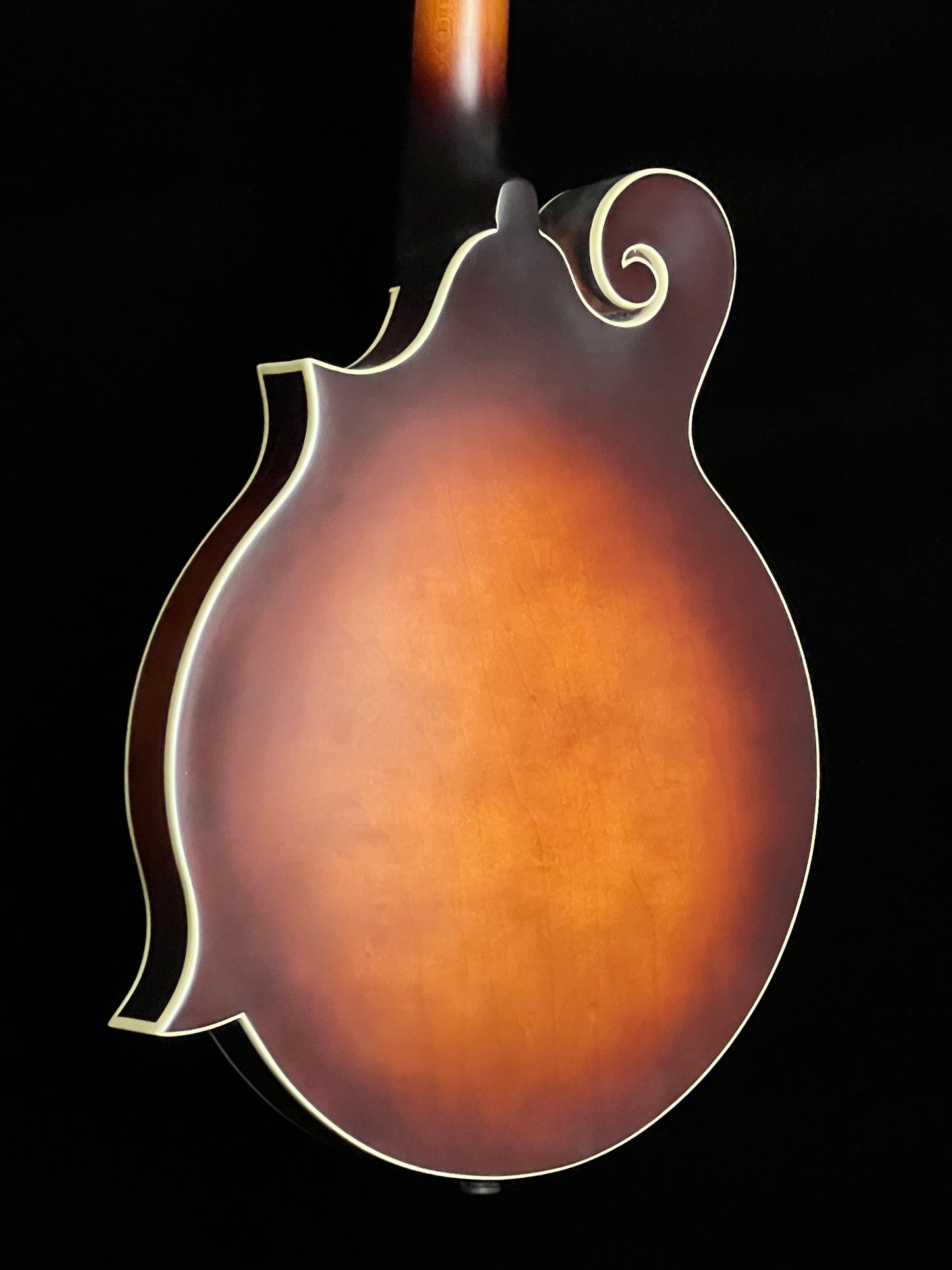 SOLD - The Loar Honey Creek F-Style Mandolin LM-310F-BRB - New