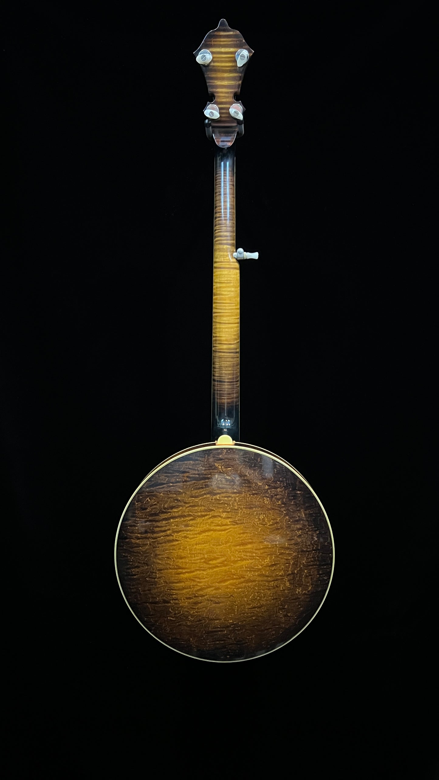 SOLD - 1995 Stelling Banjo The Sunflower - Used