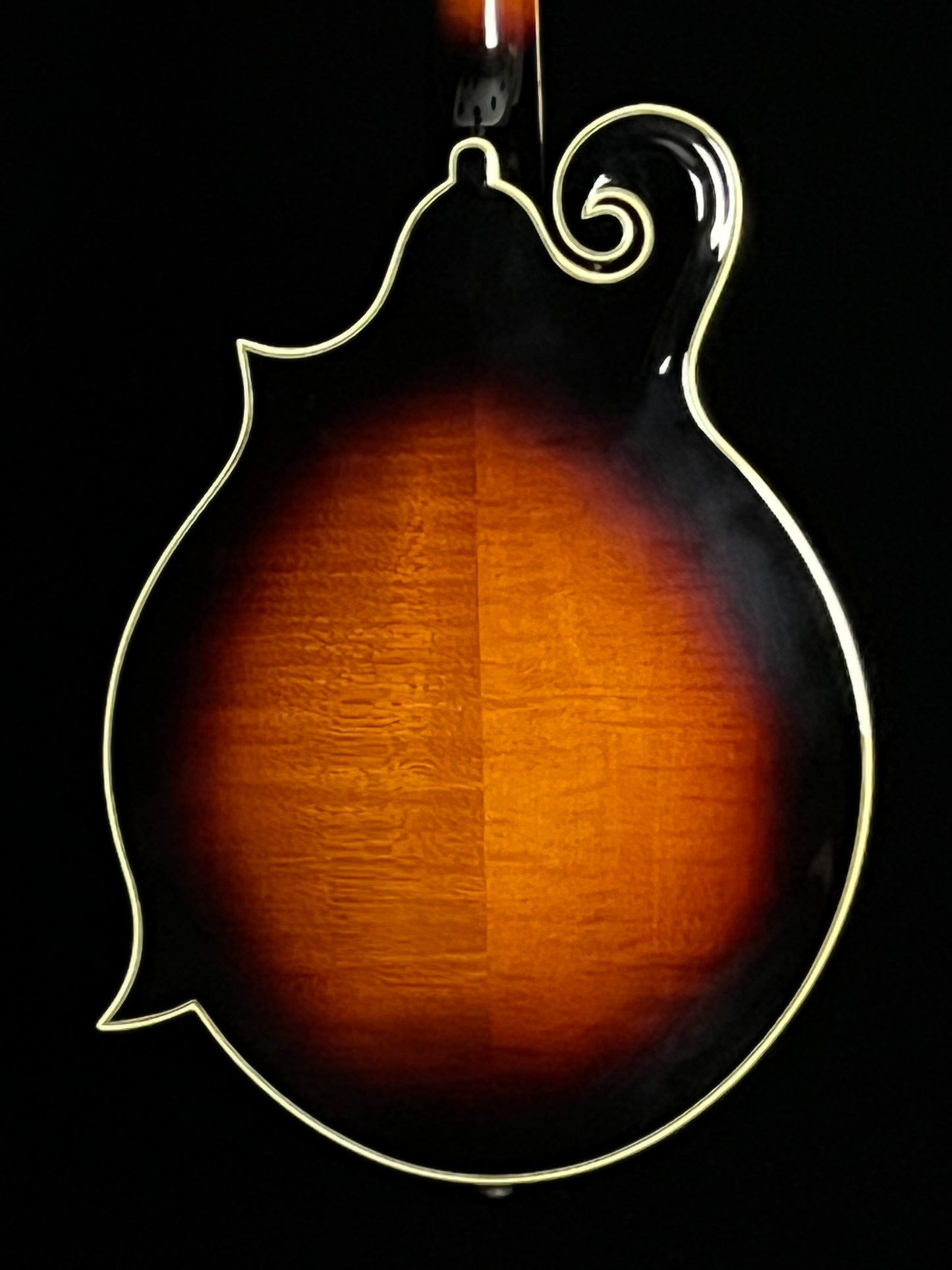 SOLD - The Loar Professional Mandolin F-Style LM-600VS - New