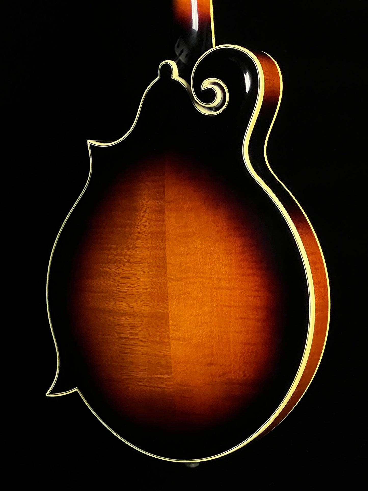 SOLD - The Loar Professional Mandolin F-Style LM-600VS - New