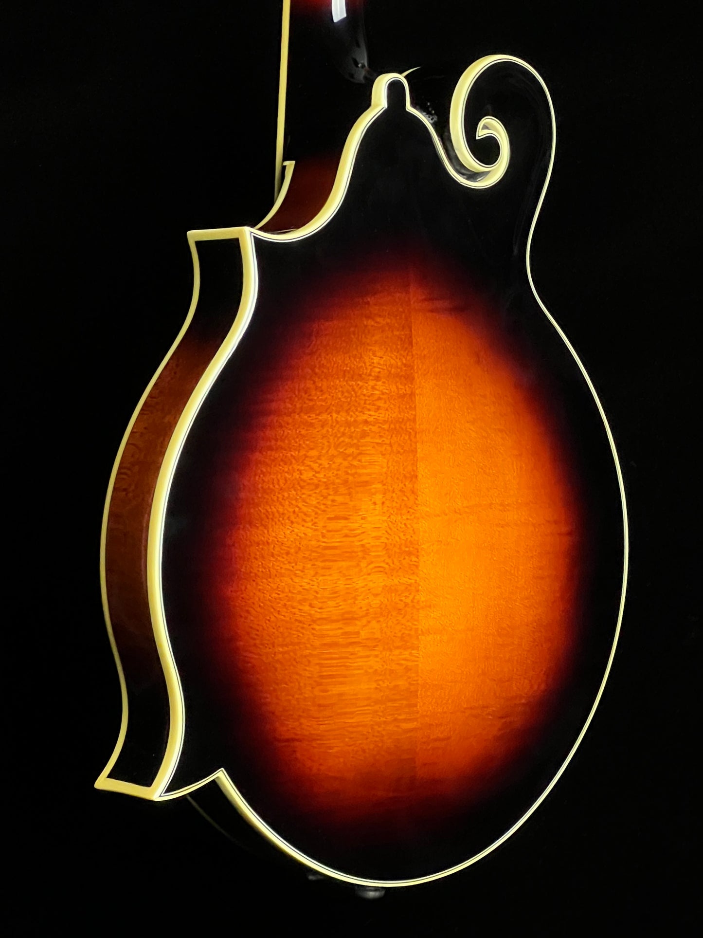 SOLD - The Loar Professional Mandolin F-Style LM-600VS - New