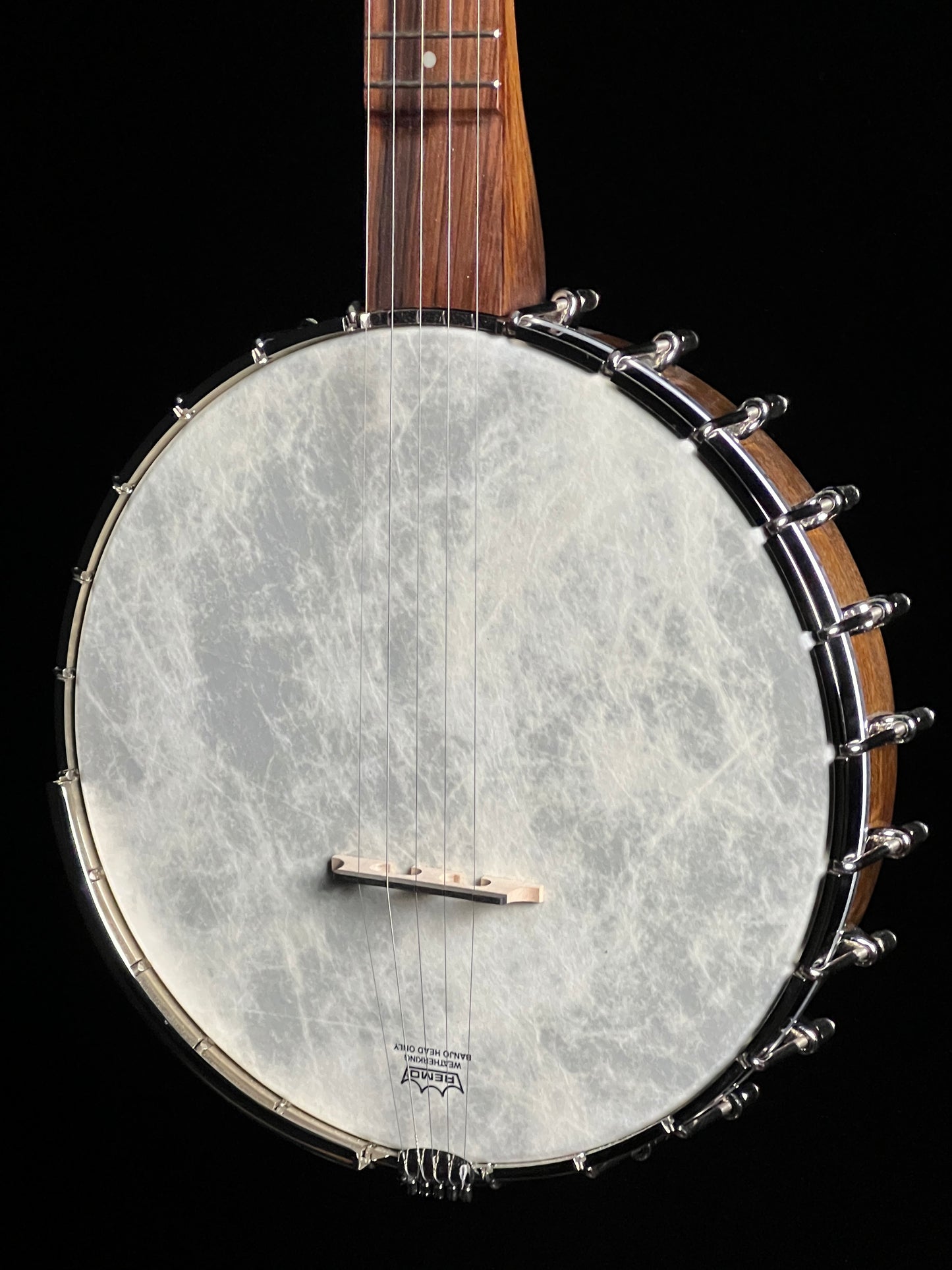 Gold Star GE-1 Prospector Old-Time Openback Banjo - New