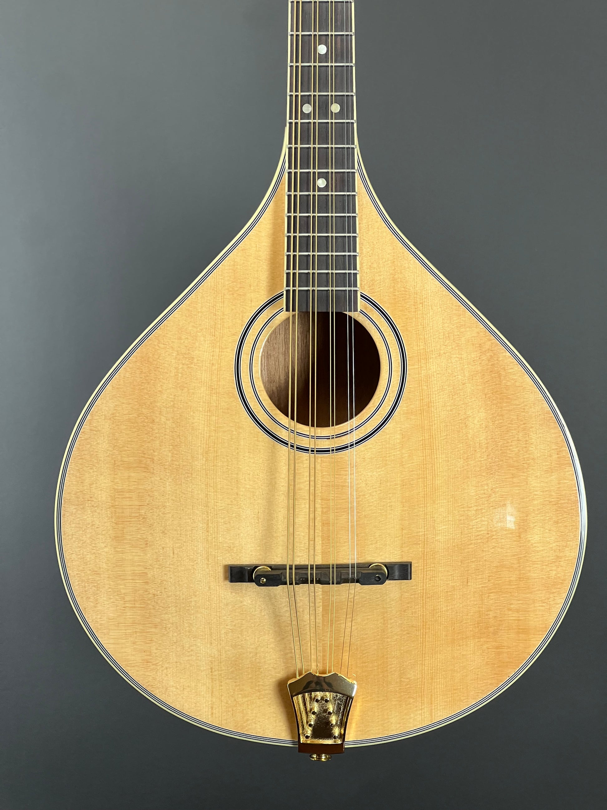 Gold Tone - Octave Mandolin - OM-800+ New – Papaw Odells