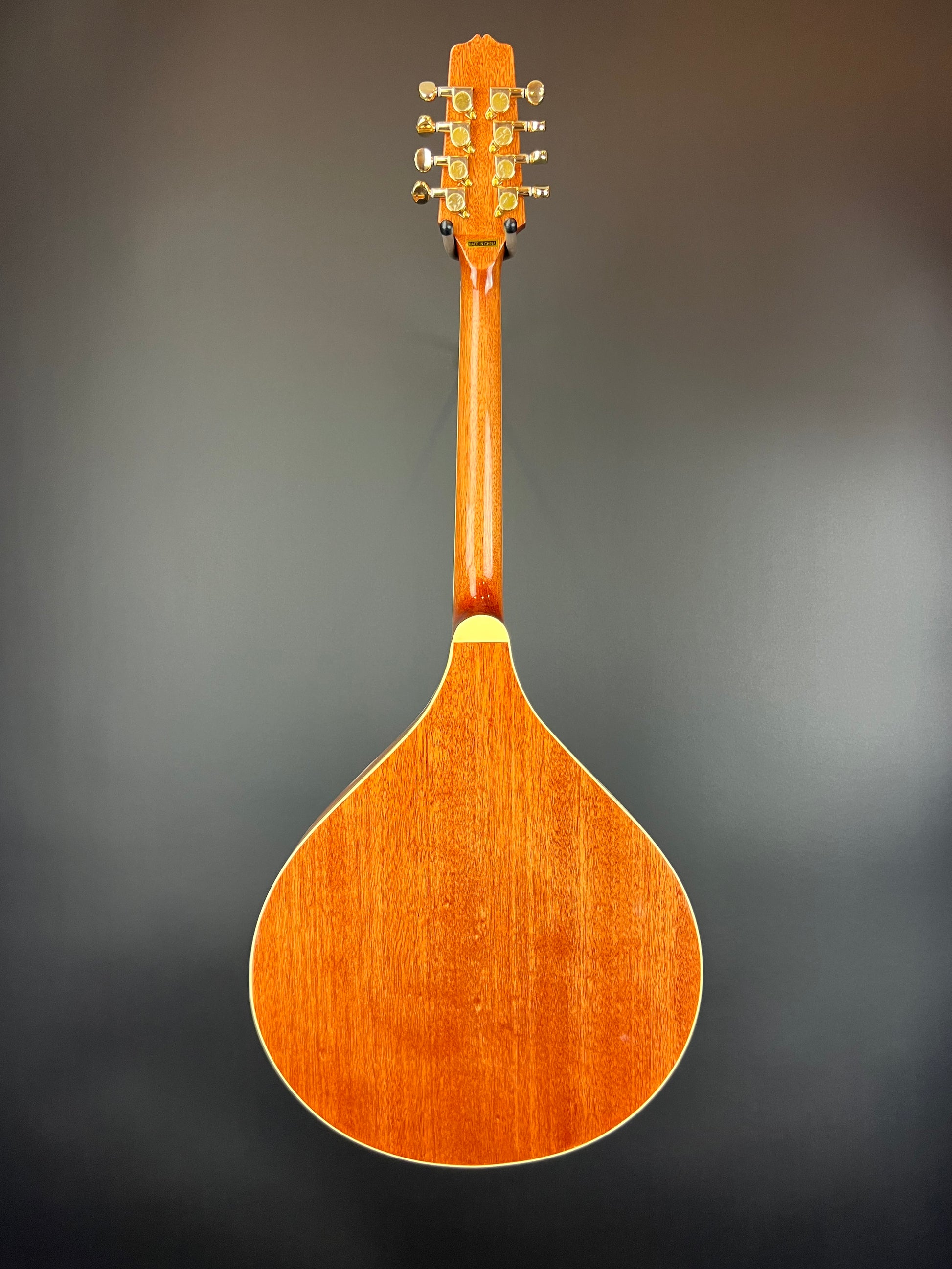 Gold Tone OM-800+ Octave Mandolin