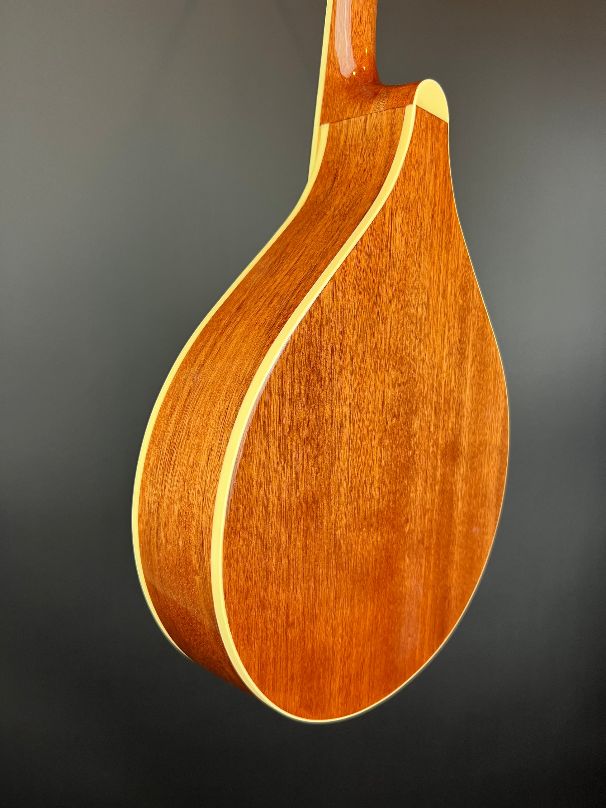 Gold Tone OM-800+ Octave Mandolin - Natural/High Gloss