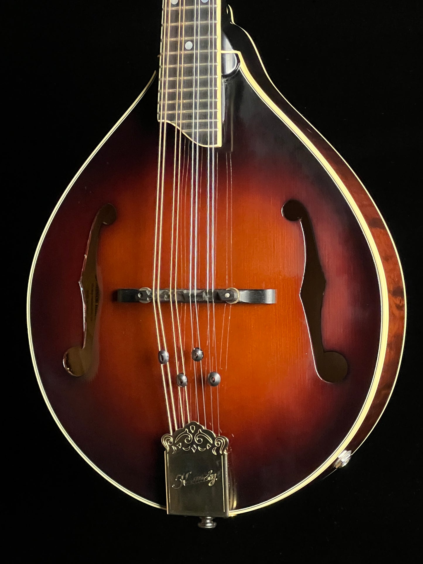 Kentucky KM-505 A-Style Mandolin with Pickup - Used