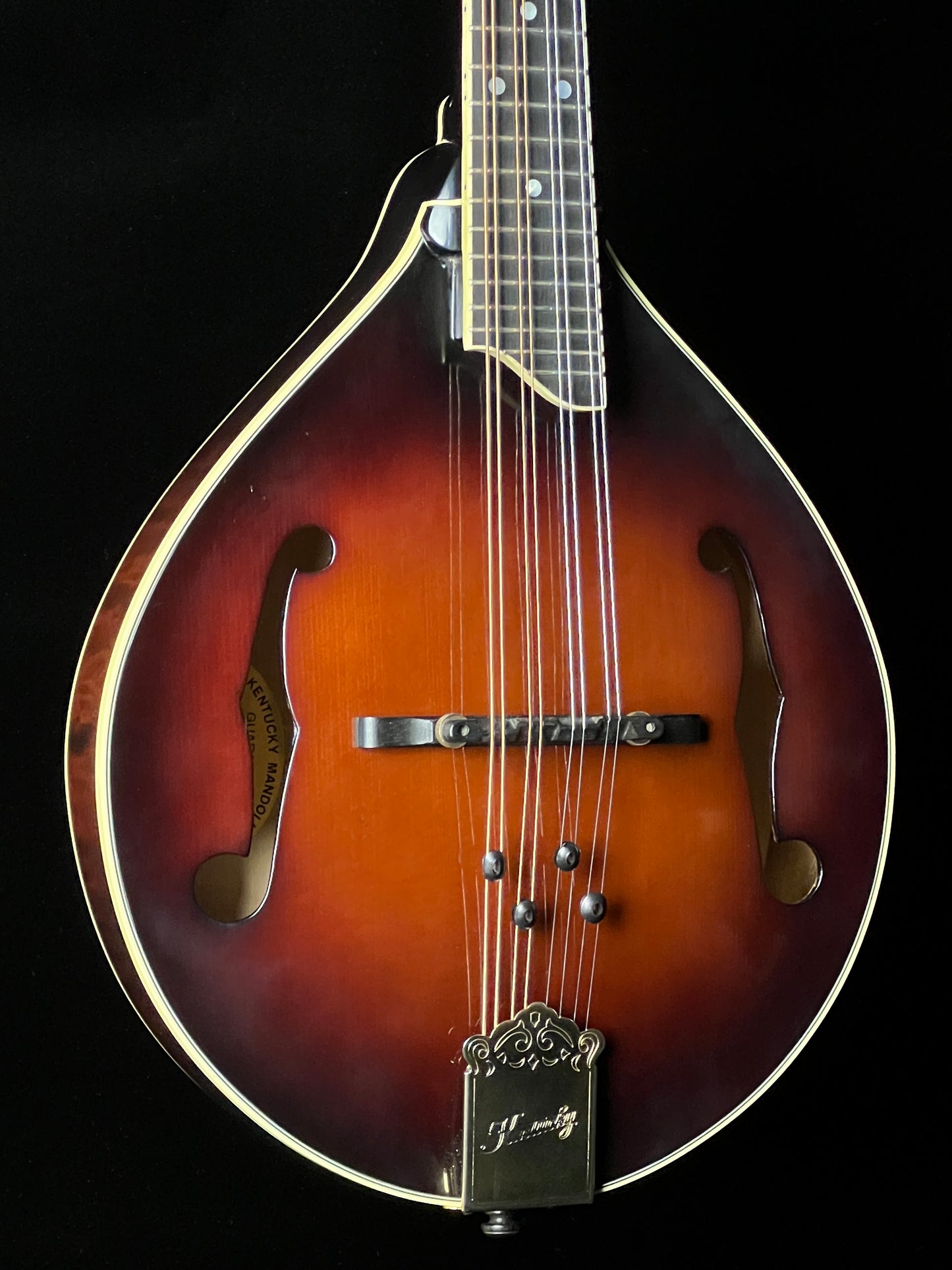 Kentucky KM-505 A-Style Mandolin with Pickup - Used