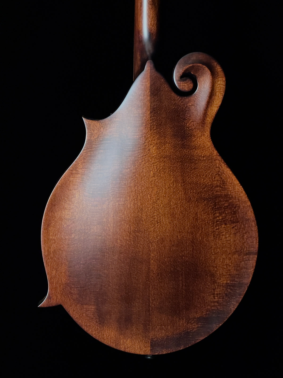 Kentucky KM-606 Solid Carved Spruce/Solid Maple F-Style Mandolin  - New
