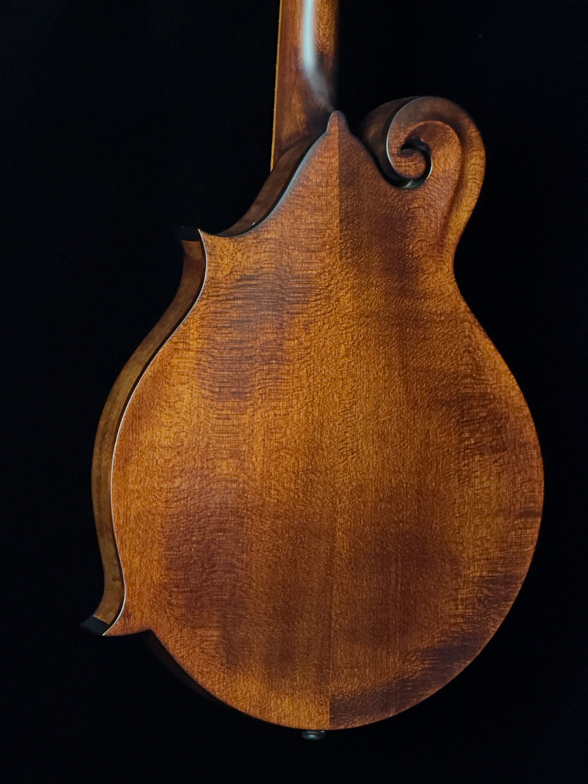 Kentucky KM-606 Solid Carved Spruce/Solid Maple F-Style Mandolin  - New