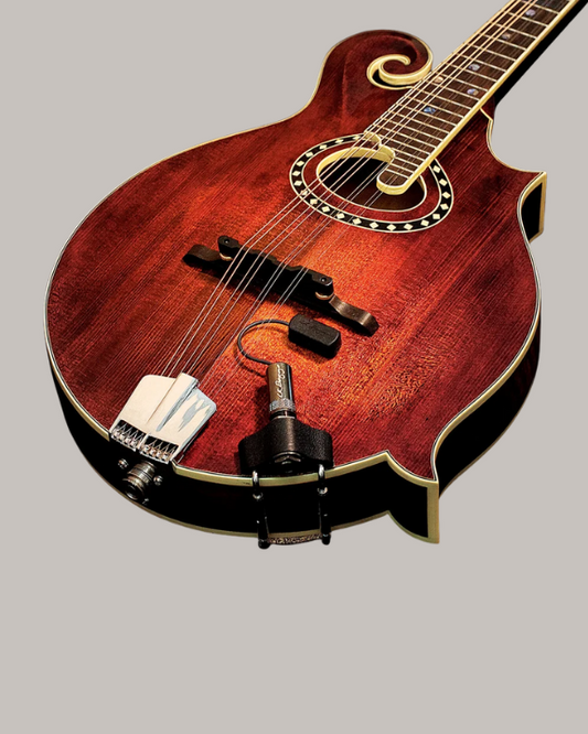 L.R. Baggs Radius Mandolin Pickup