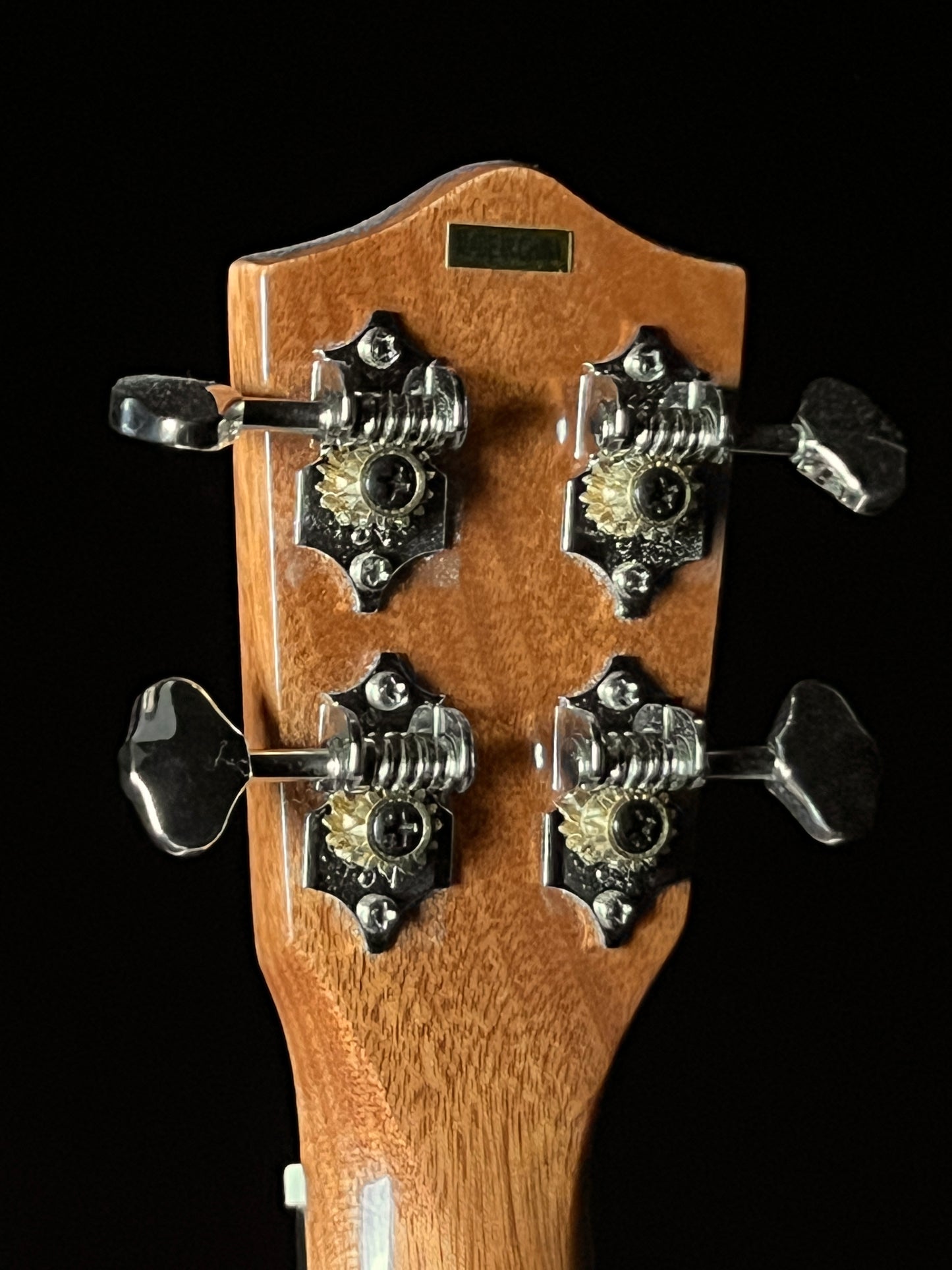 Lanikai All Solid Mahogany Tenor Ukulele MAS-T - New