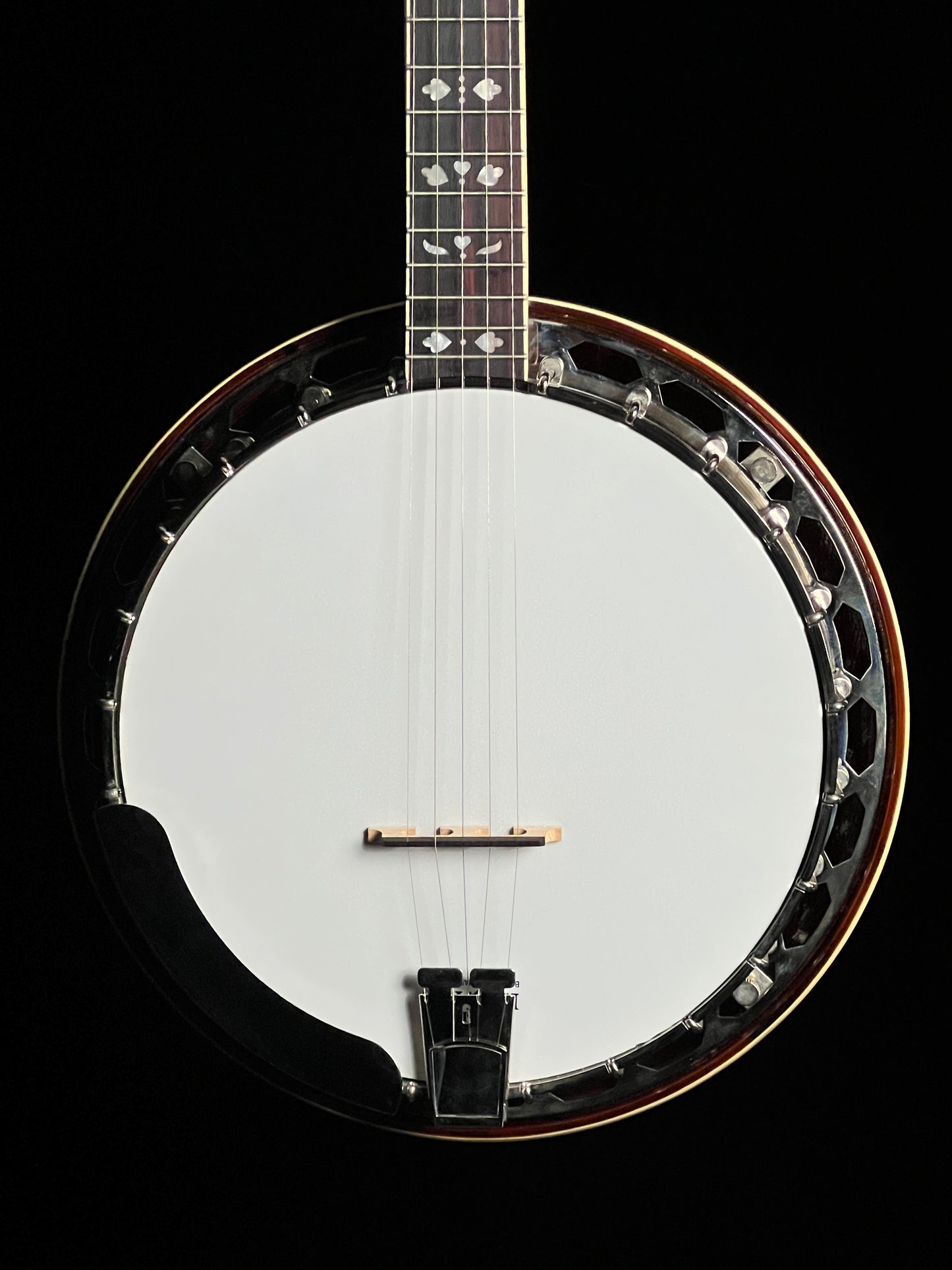 SOLD - Recording King Songster Resonator RK-R20 Banjo - New