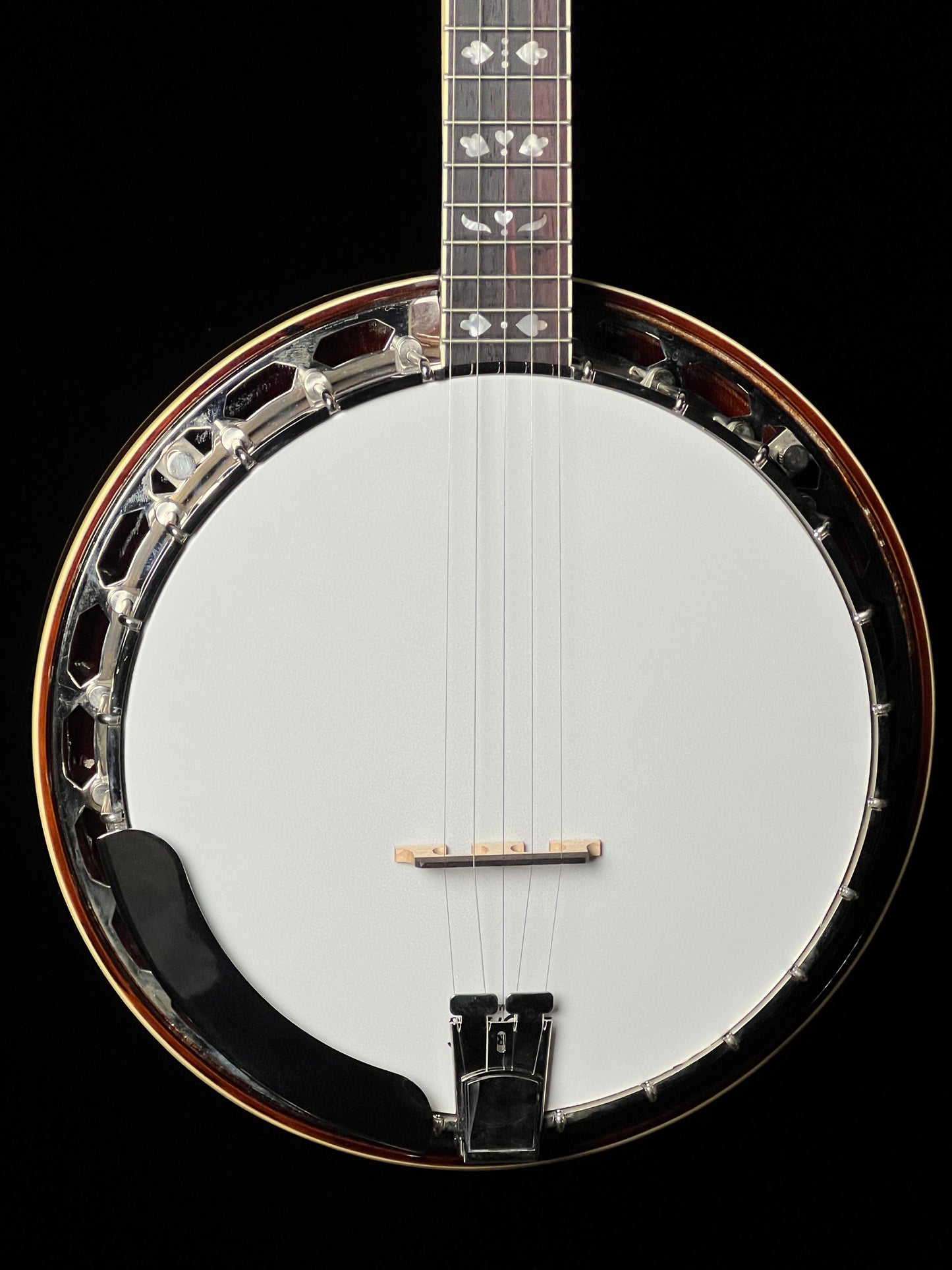 SOLD - Recording King Songster Resonator RK-R20 Banjo - New