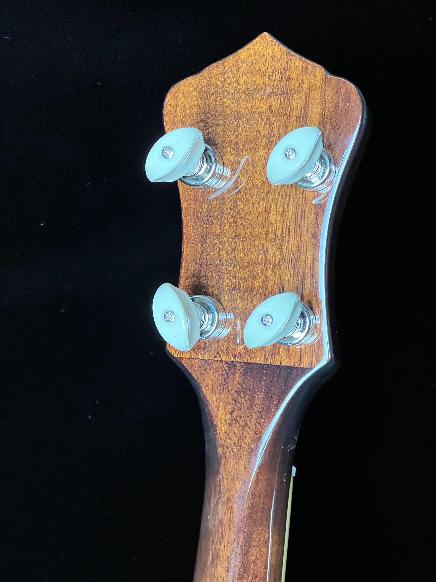 SOLD - Recording King Songster Resonator RK-R20 Banjo - New