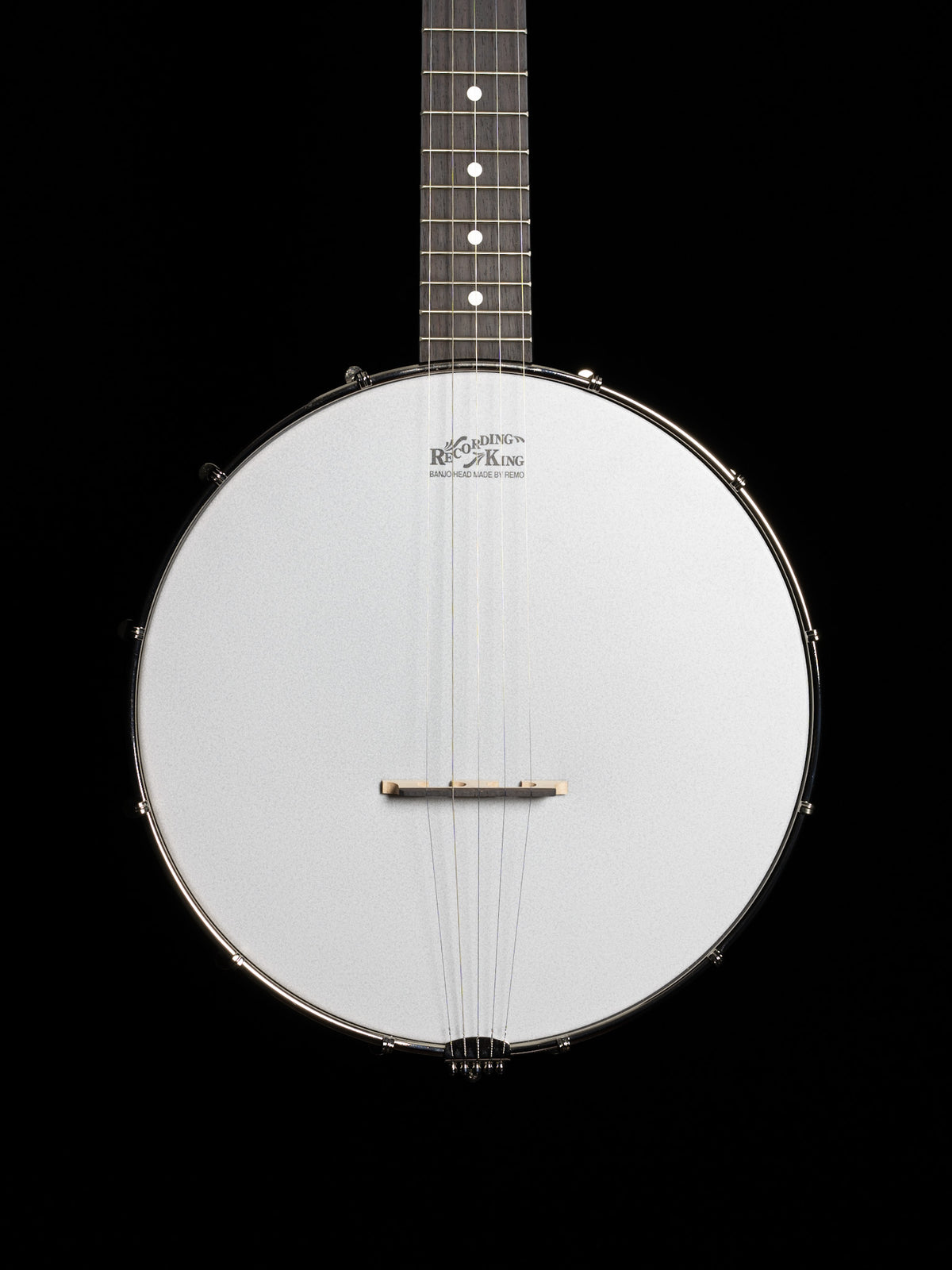 Recording King Dirty 30s RKO-3S Open Back Banjo - New