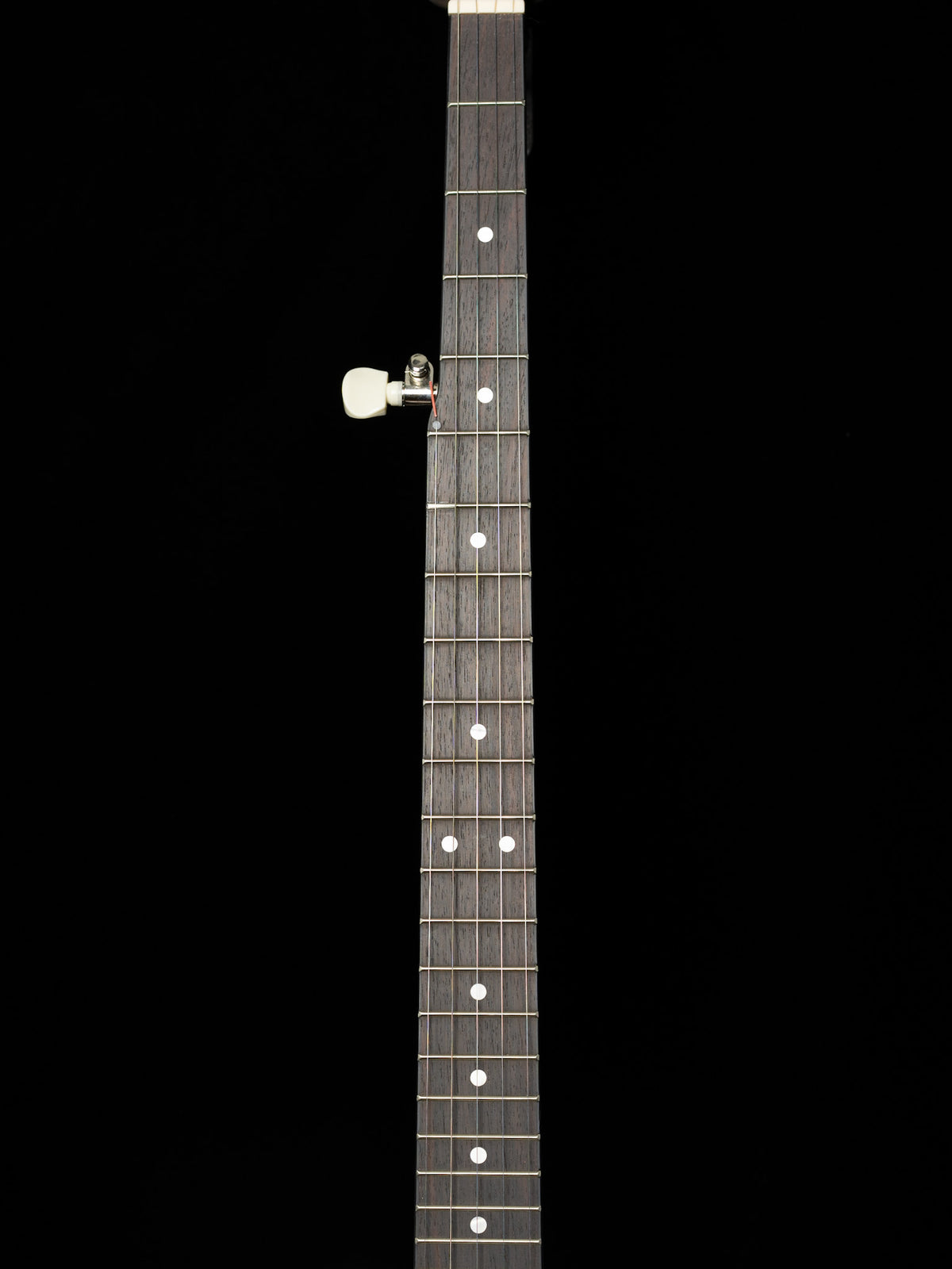 Recording King Dirty 30s RKO-3S Open Back Banjo - New