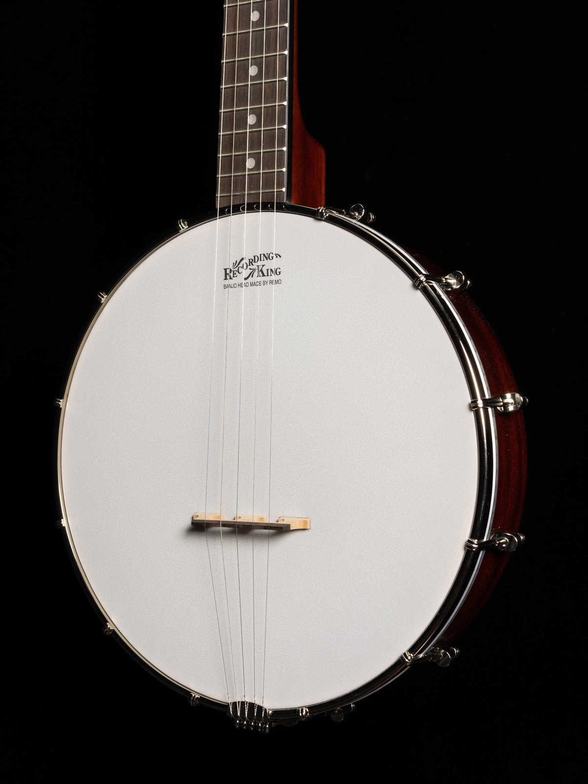 Recording King Dirty 30s RKO-3S Openback Banjo - New