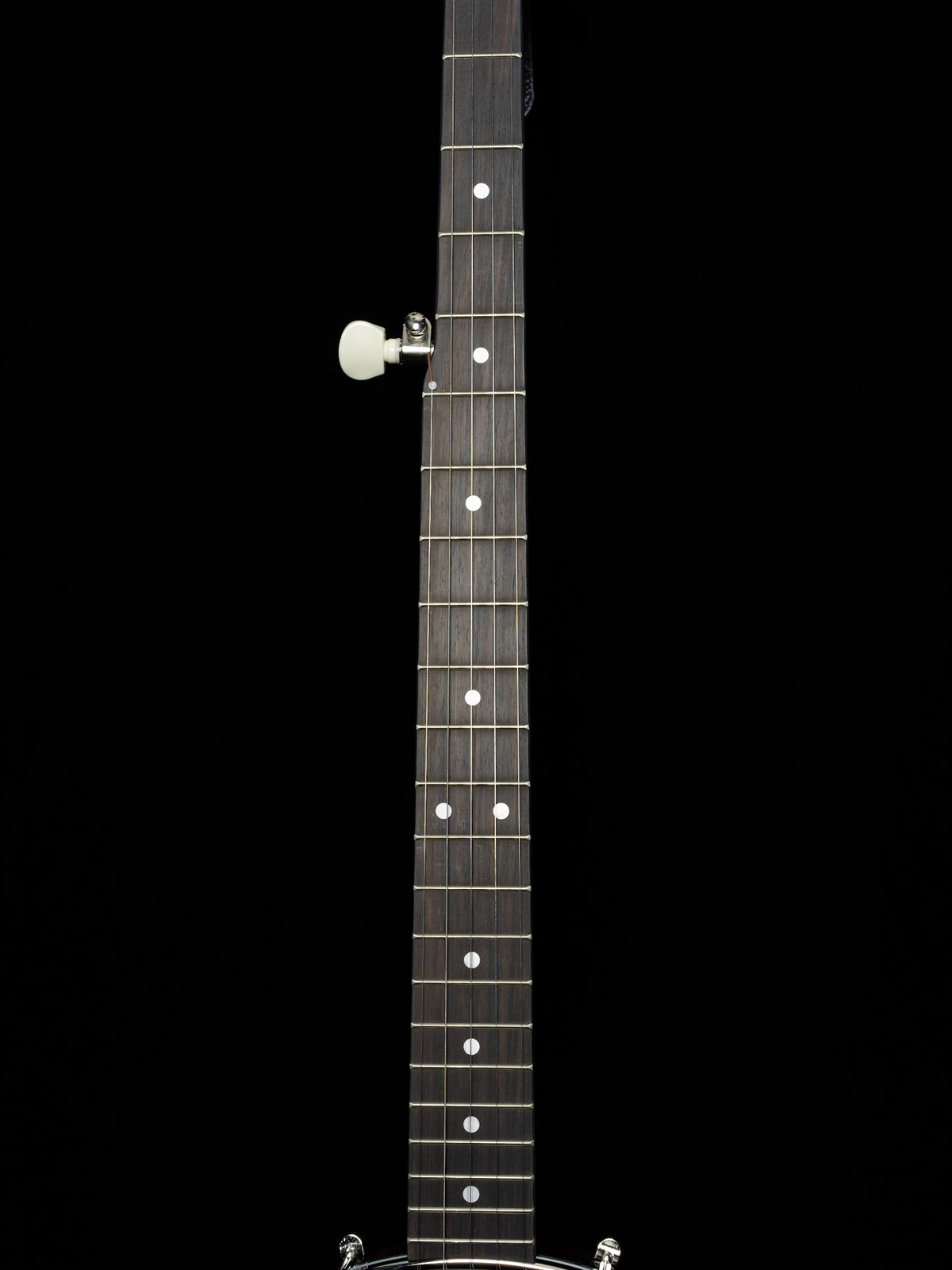 Recording King Dirty 30s RKO-3S Openback Banjo - New