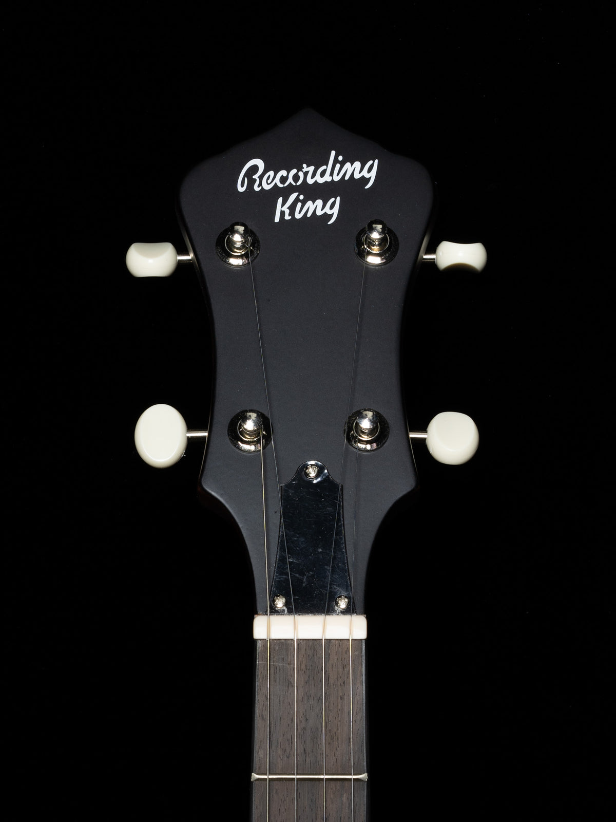 Recording King Dirty 30s RKO-3S Openback Banjo - New