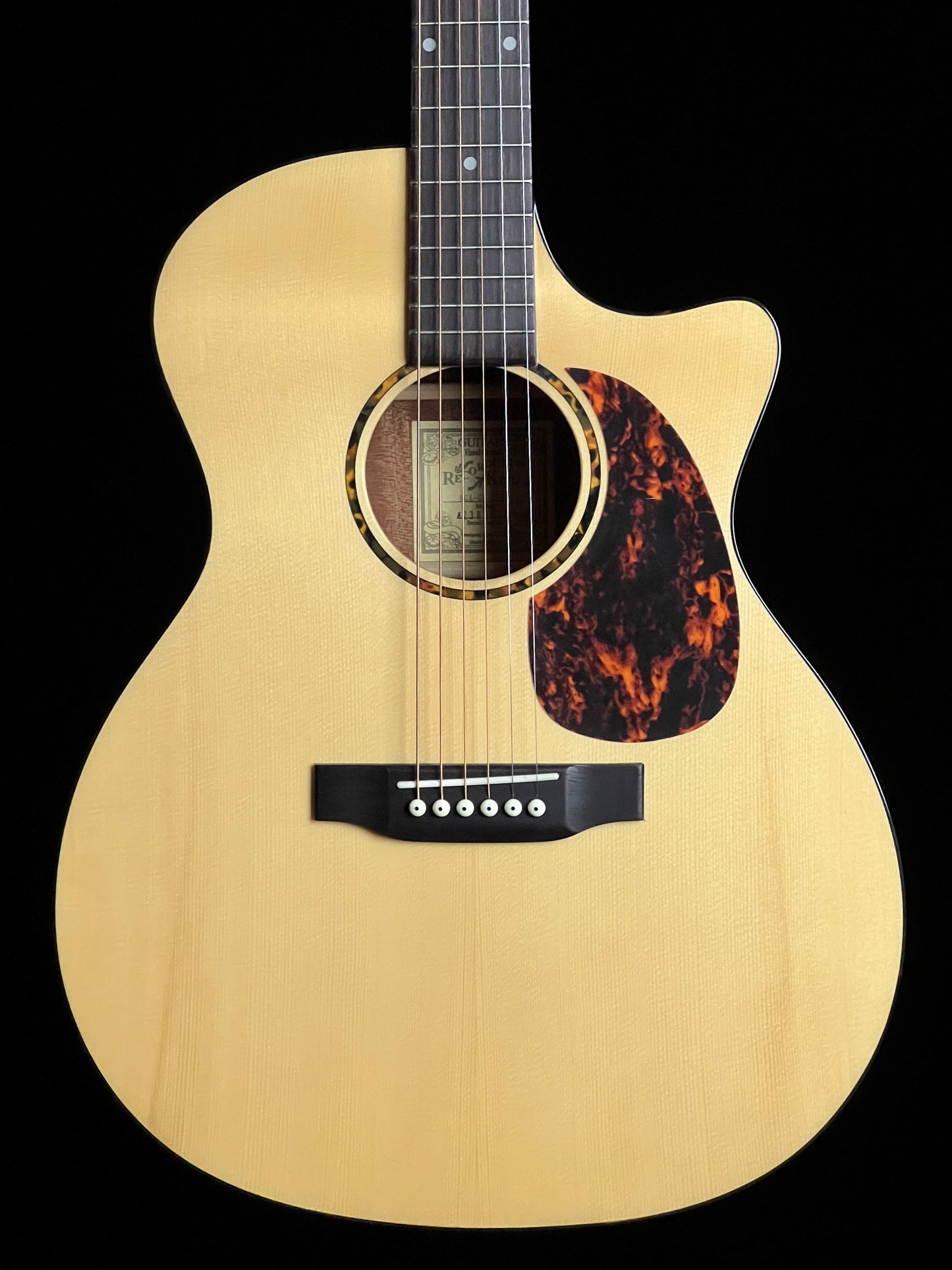 Recording King RGA-G6-CFE5 G6 Grand Auditorium Cutaway with Fishman EQ Solid Spruce / Mahogany Acoustic Guitar - New