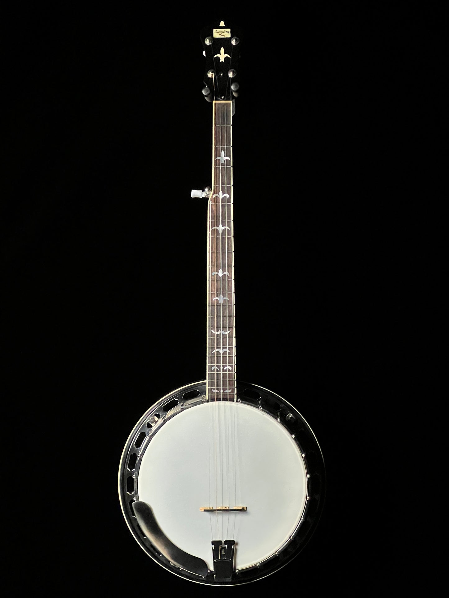 Recording King RK-36 5-String Banjo with Resonator - Used
