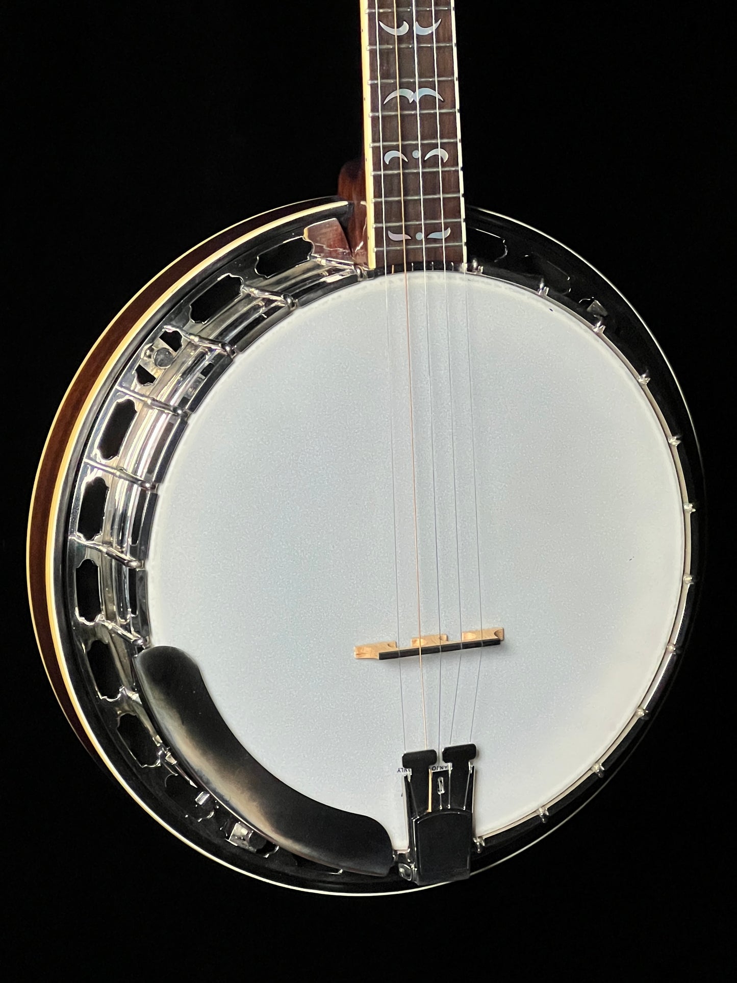 Recording King RK-36 5-String Banjo with Resonator - Used