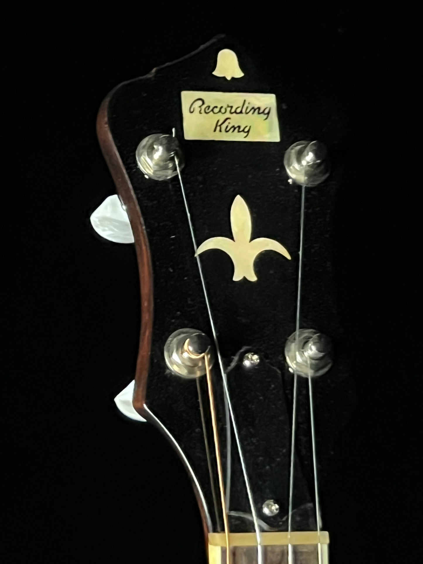 Recording King RK-36 5-String Banjo with Resonator - Used