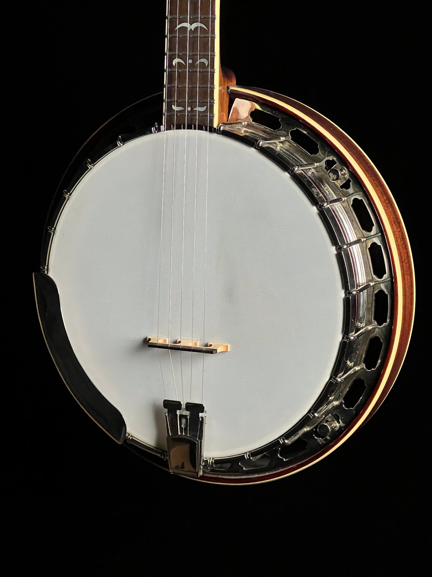 SOLD - Recording King RK-36 Resonator 5-String Banjo - Used