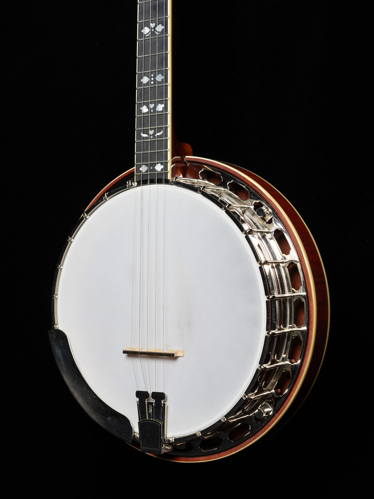 Recording King RK-Elite-85 5-String Resonator Banjo - Used
