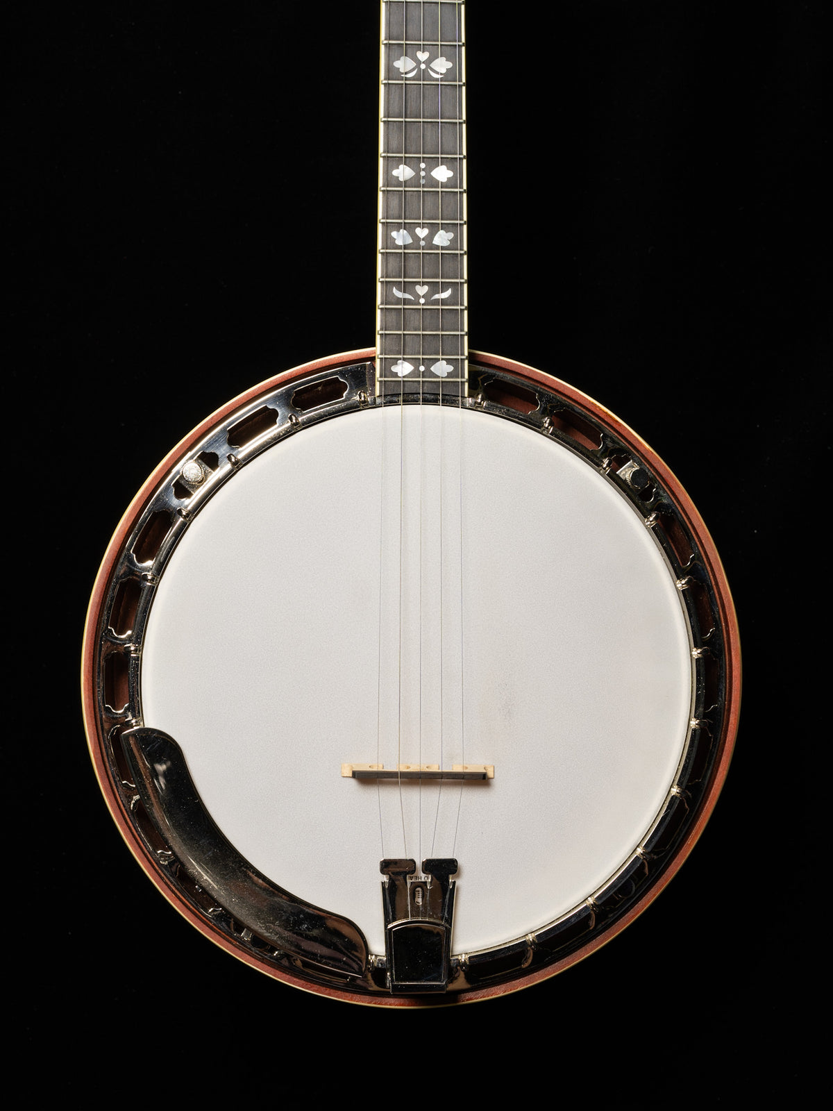 Recording King RK-Elite-85 5-String Resonator Banjo - Used