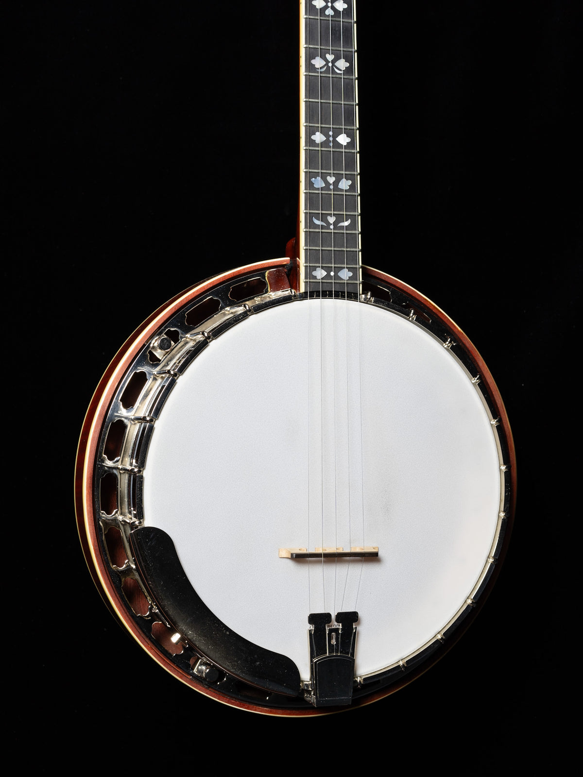 Recording King RK-Elite-85 5-String Resonator Banjo - Used