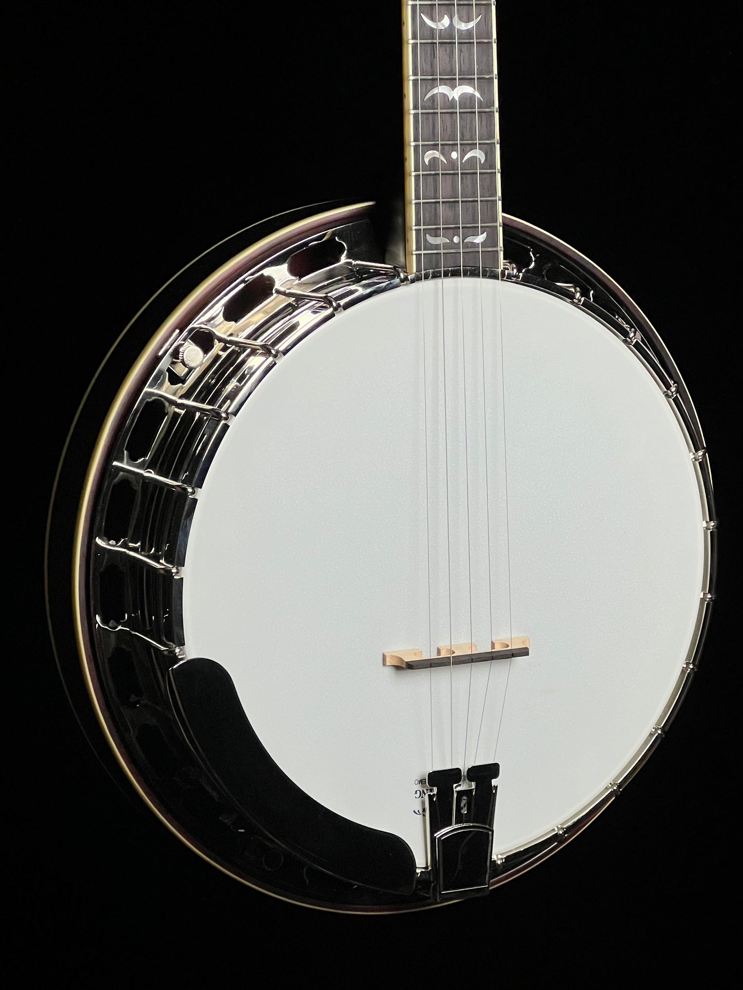 Recording King RK-R35 Madison Resonator Banjo with Tone Ring - New