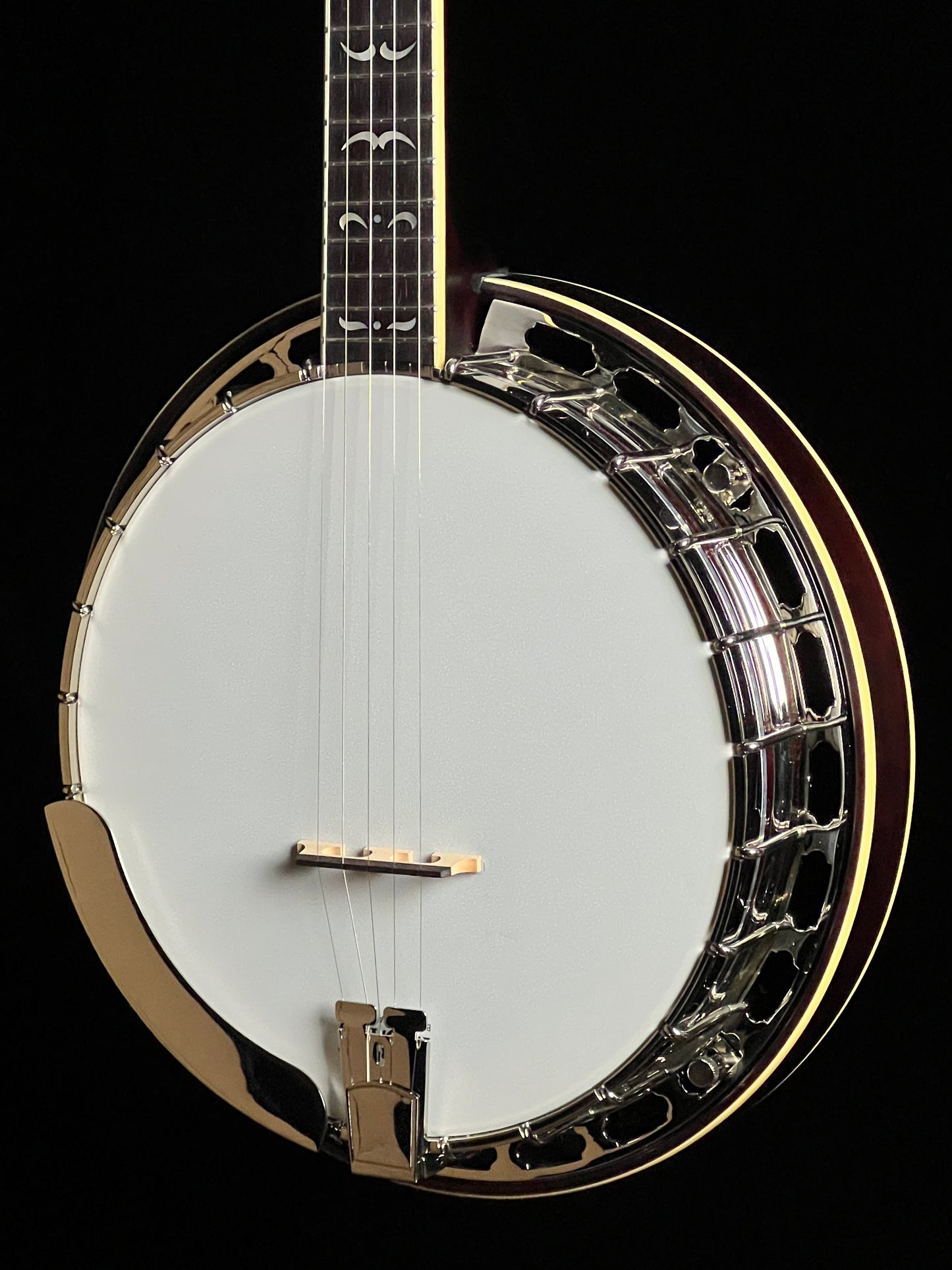 Recording King RK-R35 Madison Resonator Banjo with Tone Ring - New