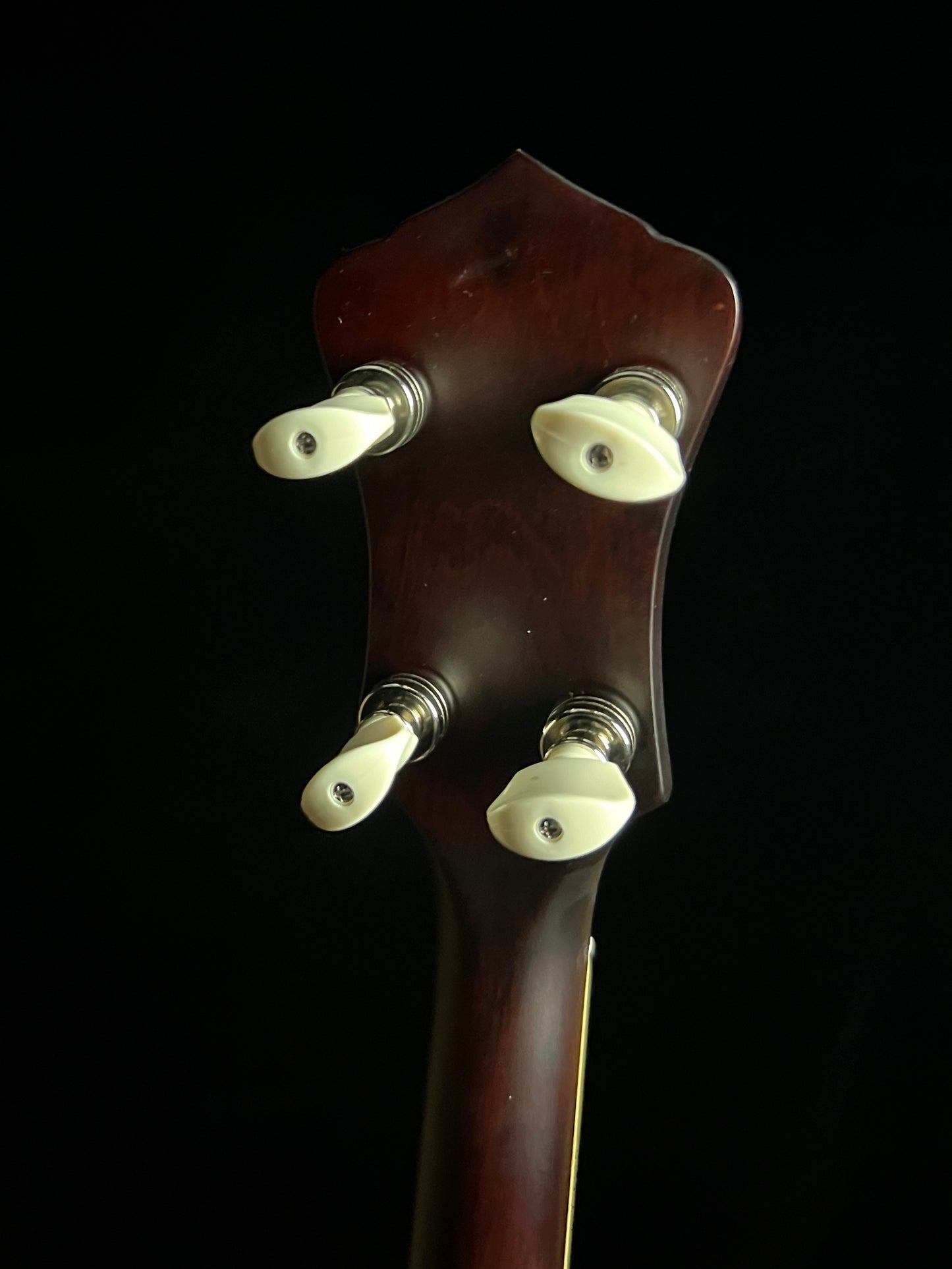 Recording King RK-R35 Madison Resonator Banjo with Tone Ring - New