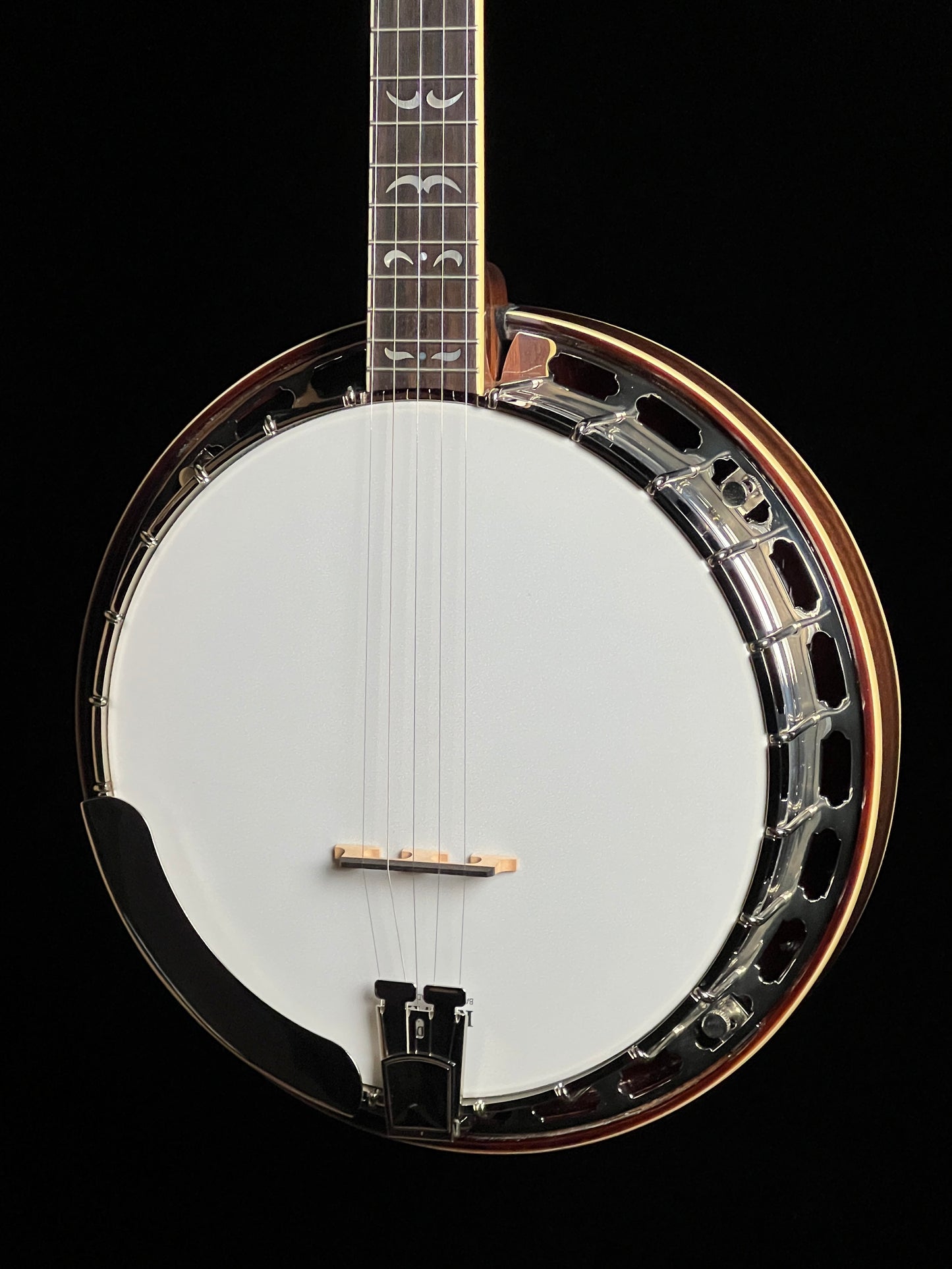 Recording King RK-R36 Madison Resonator 5-String Banjo - New