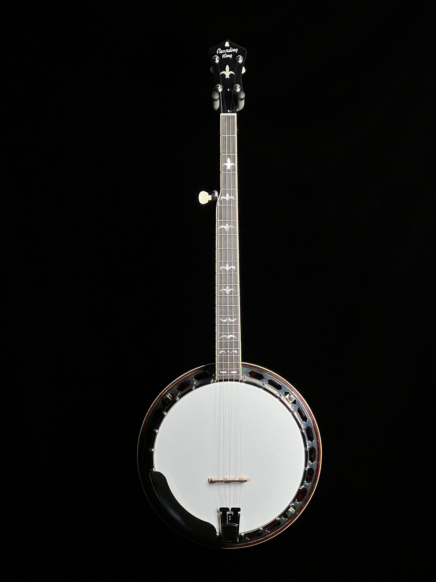 Recording King RK-R36 Madison Resonator 5-String Banjo - New