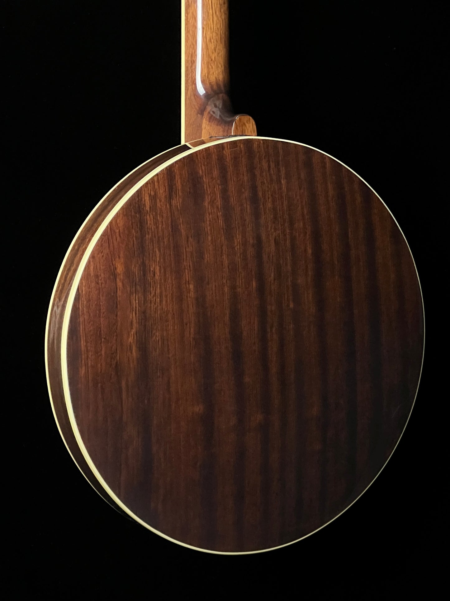 Recording King RK-R36 Madison Resonator 5-String Banjo - New