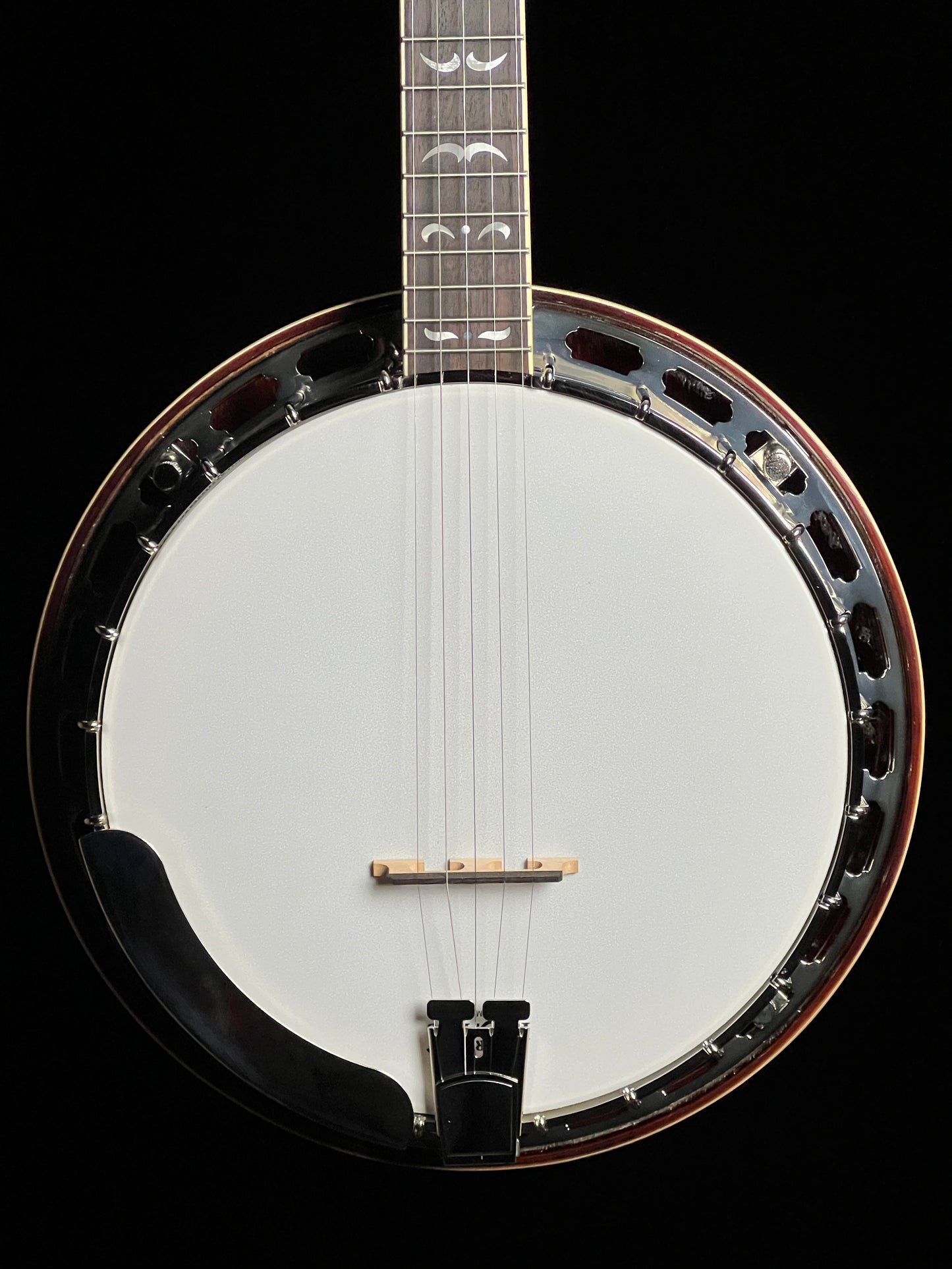 Recording King RK-R36 Madison Resonator 5-String Banjo - New