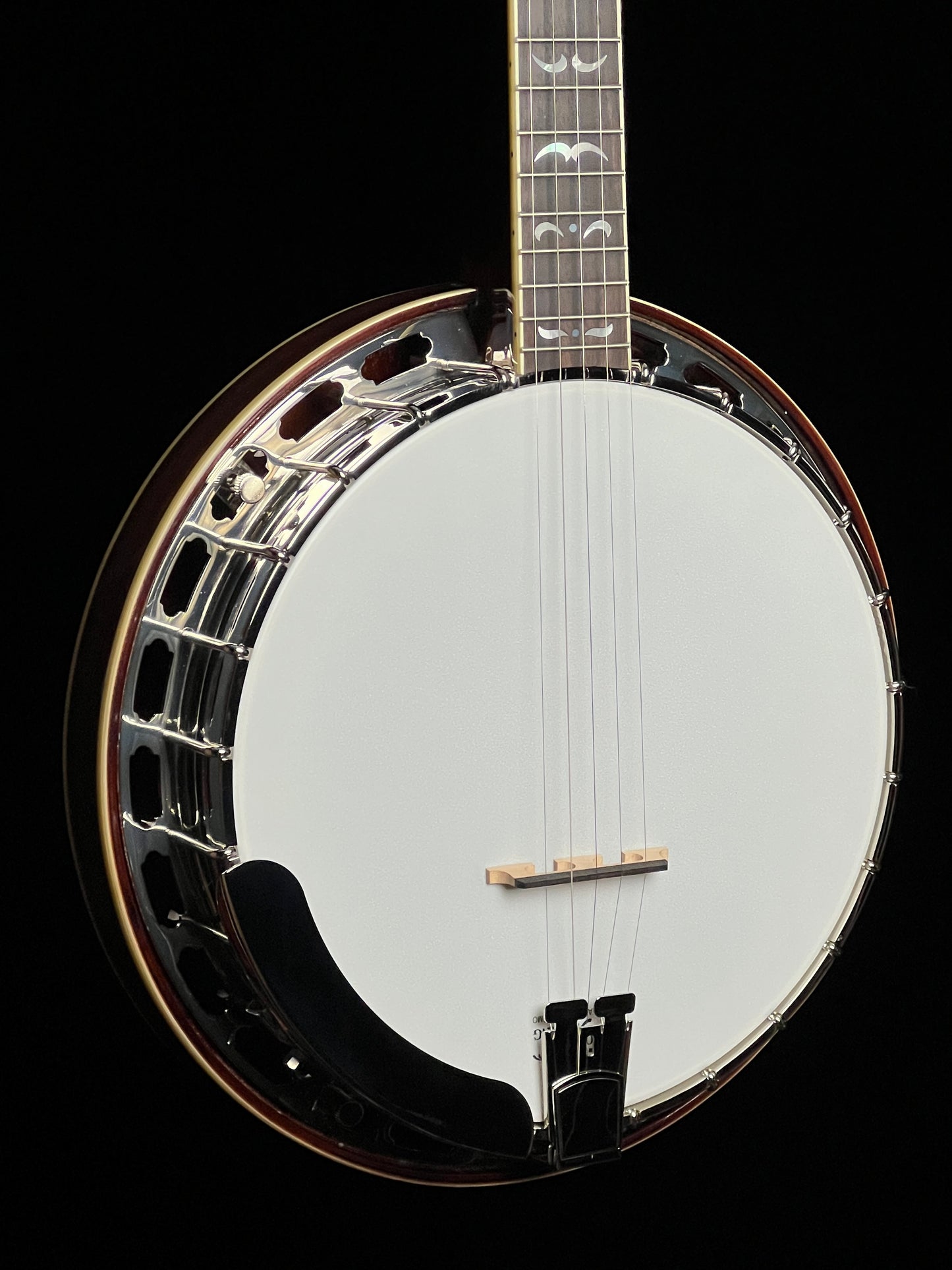 Recording King RK-R36 Madison Resonator 5-String Banjo - New