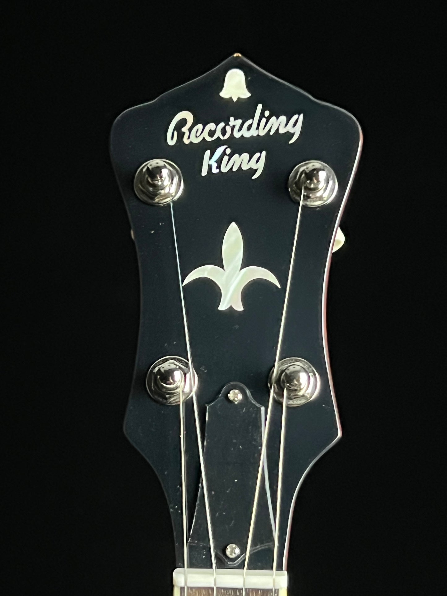 Recording King RK-R36 Madison Resonator 5-String Banjo - New