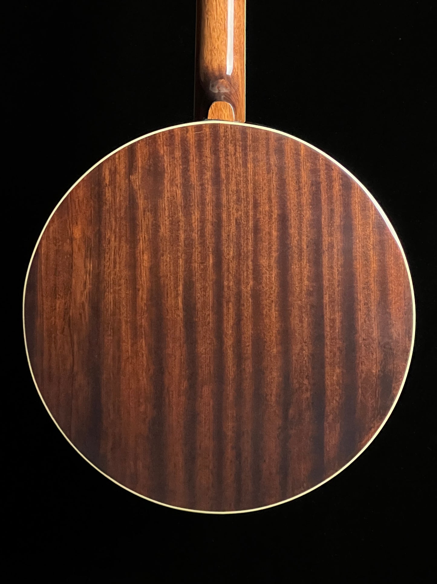 Recording King RK-R36 Madison Resonator 5-String Banjo - New