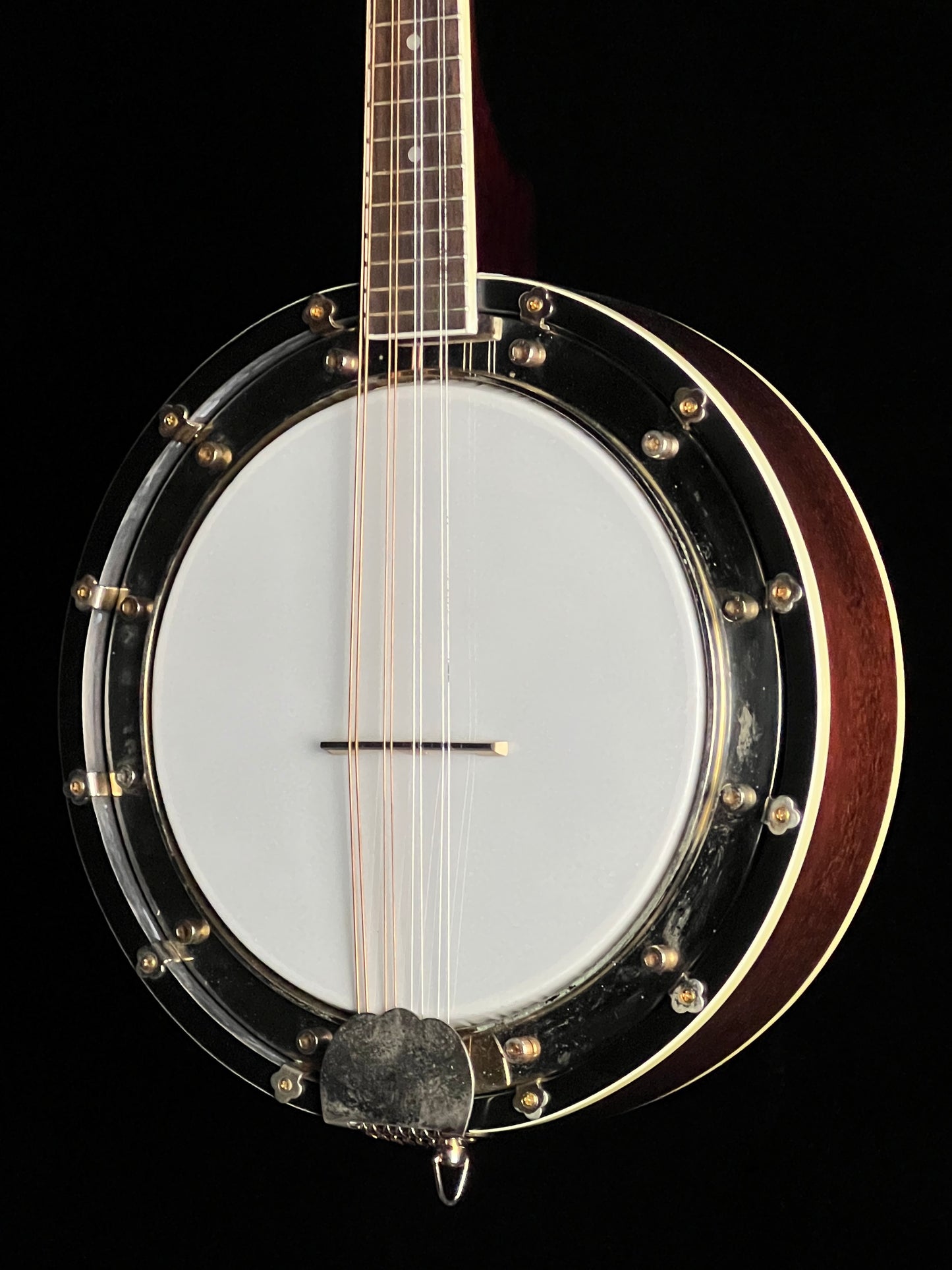 Rogue Banjolin Banjo-Mandolin - Used