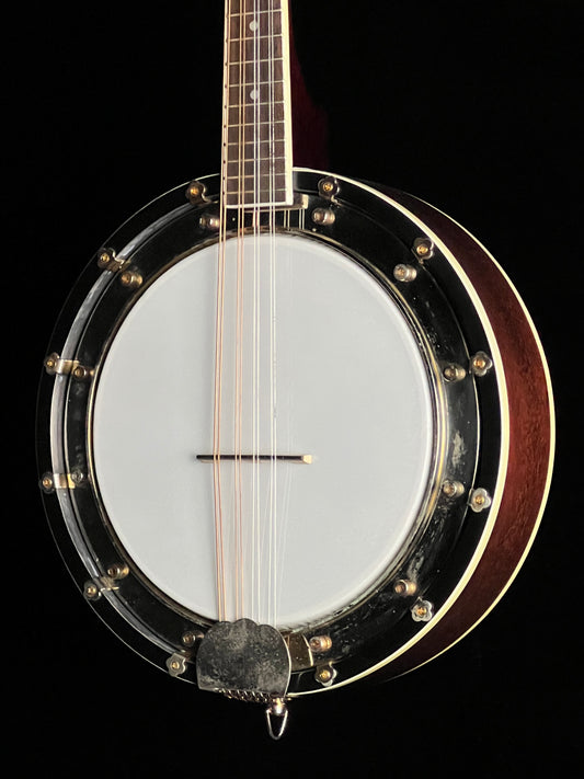 SOLD - Rogue Banjolin Banjo-Mandolin - Used
