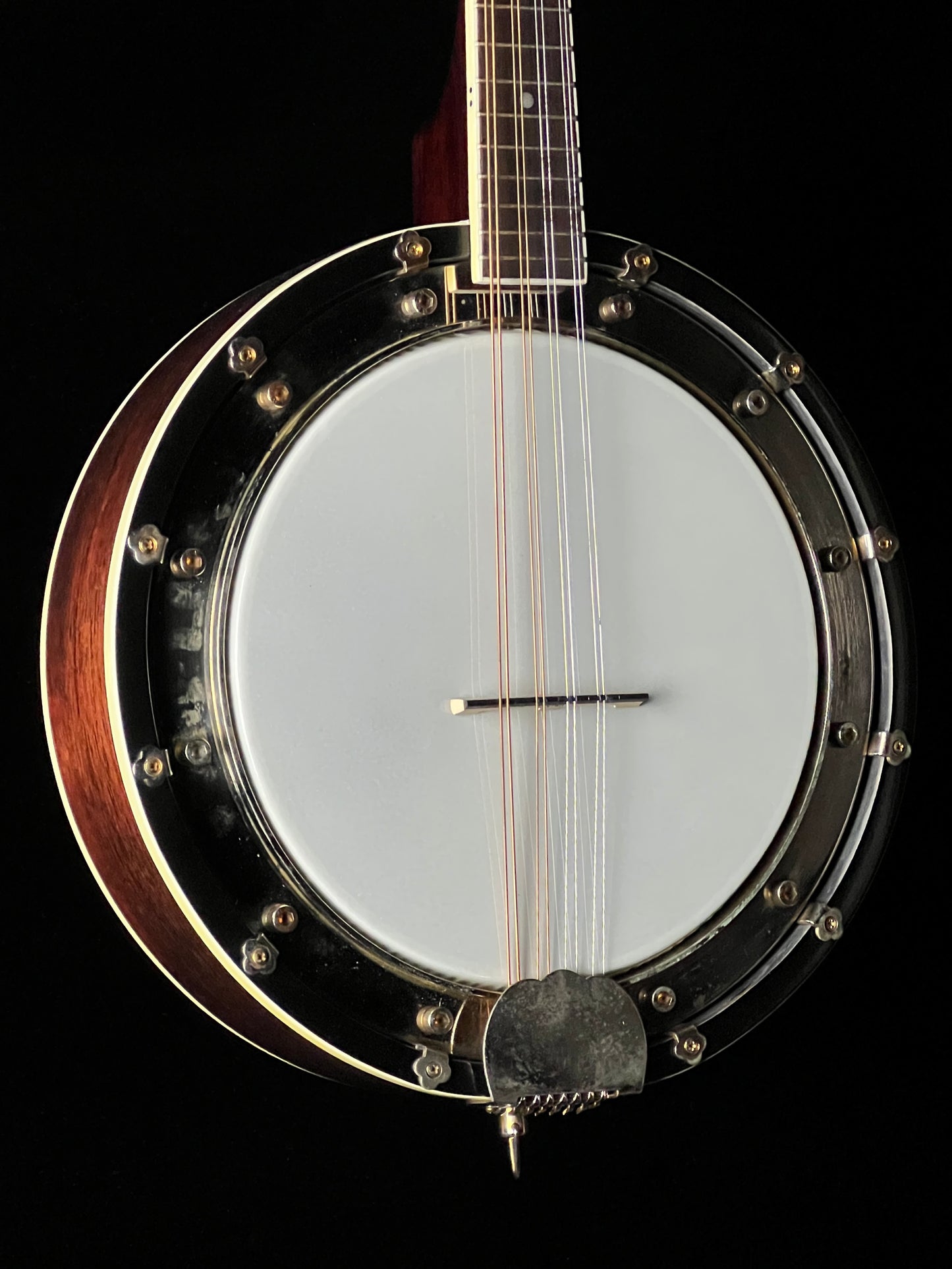Rogue Banjolin Banjo-Mandolin - Used