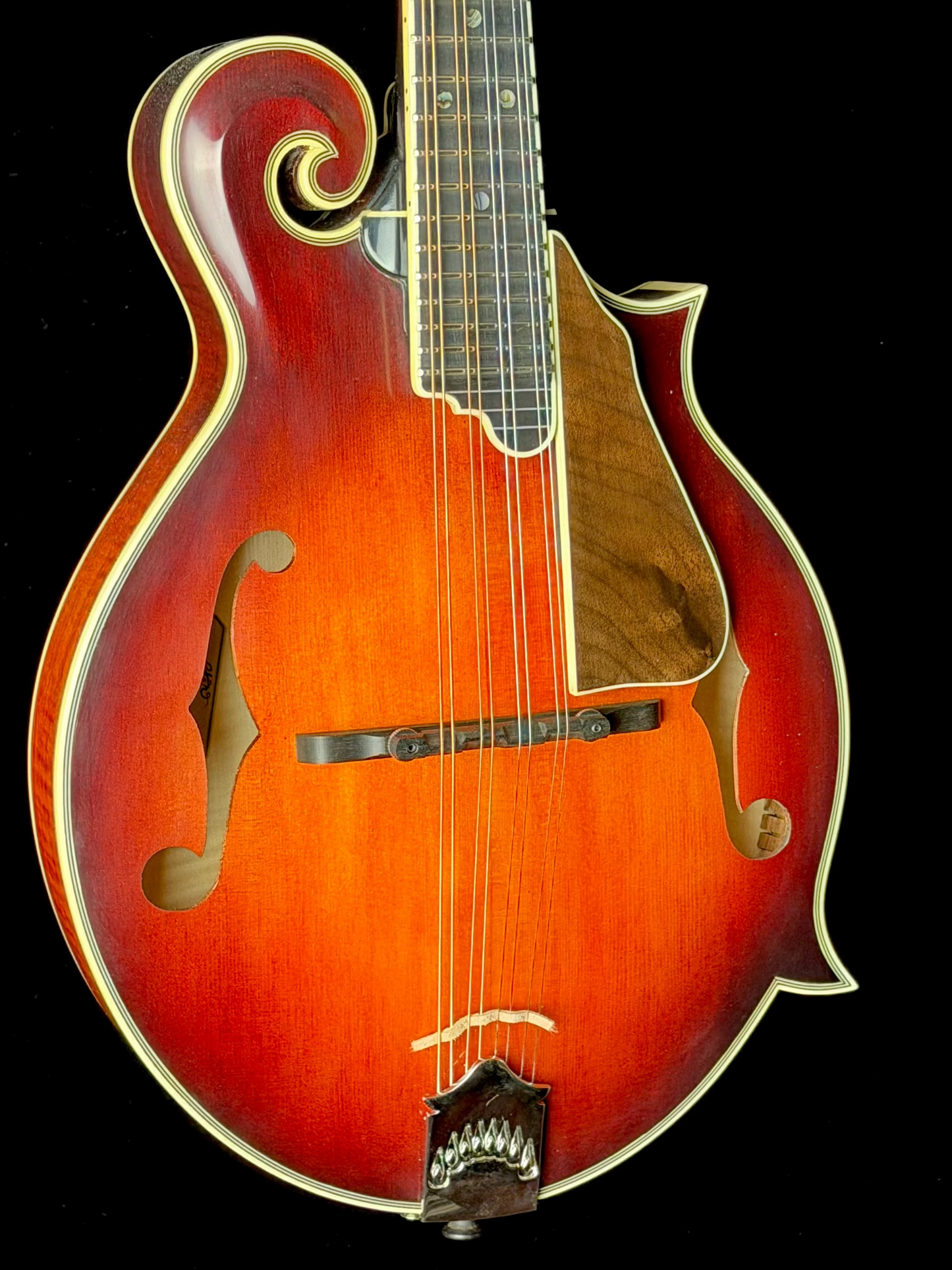 Tailwater TW-F5V F-Style Mandolin - New